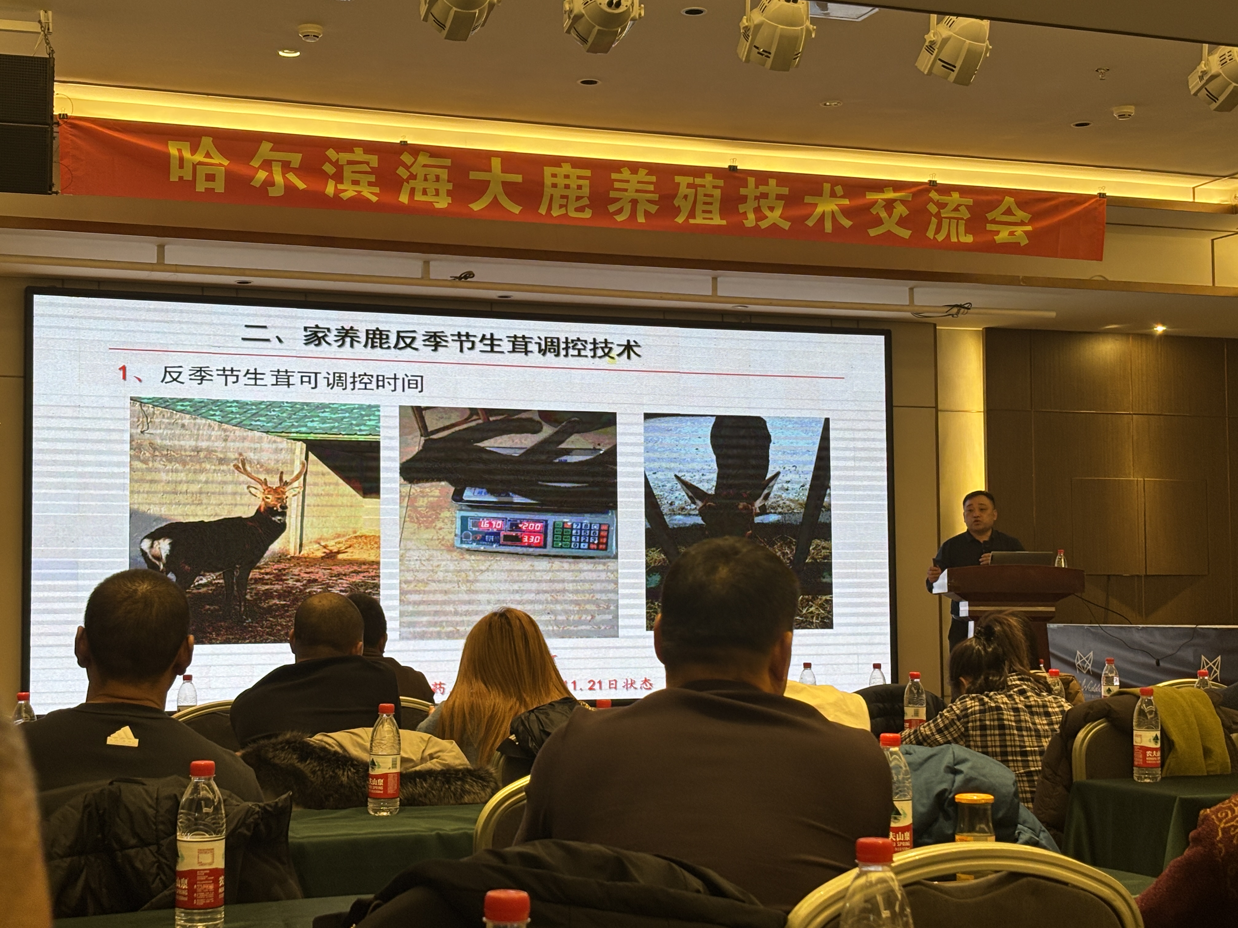 微信图片_20250423113010