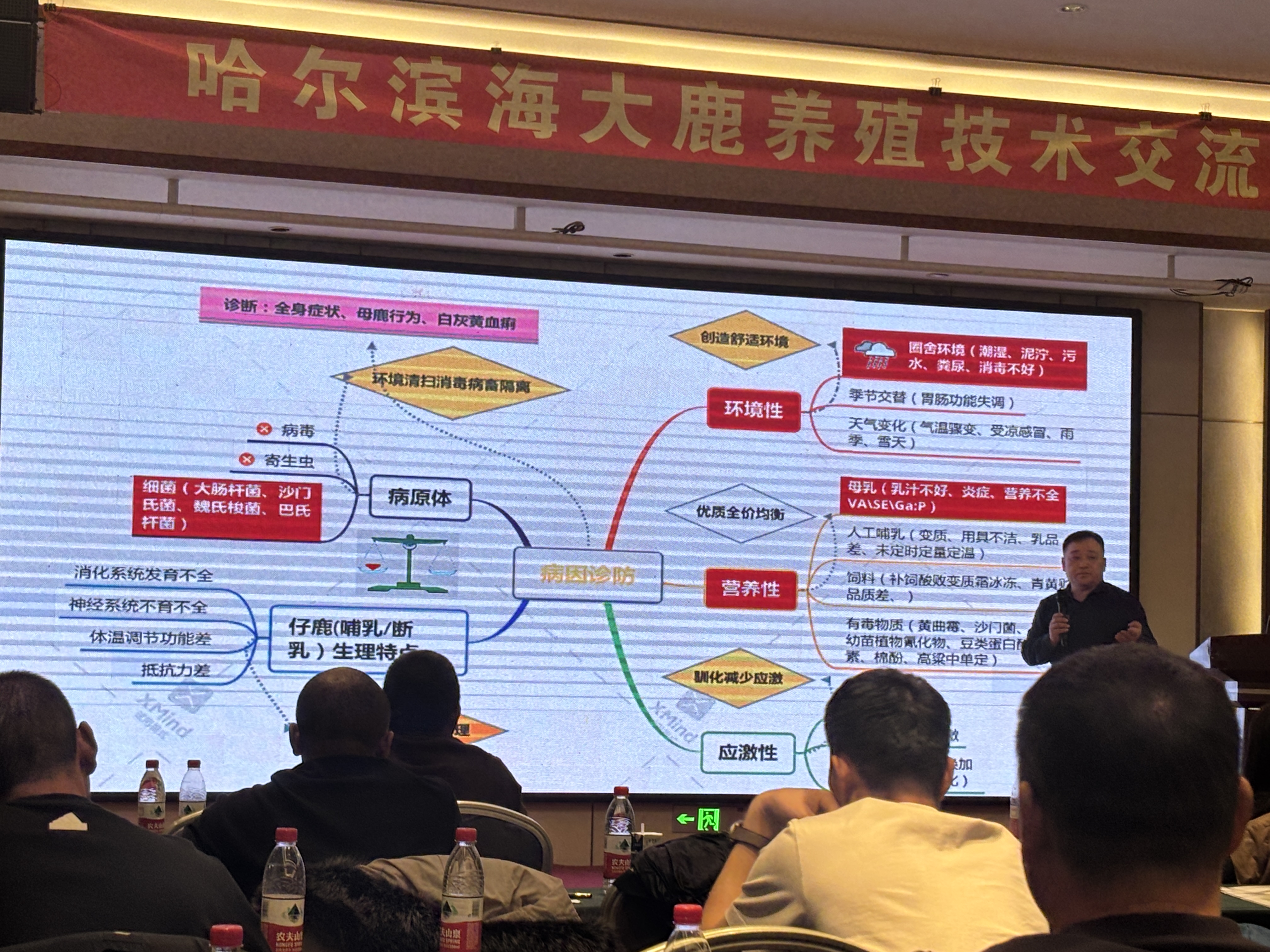 微信图片_20250326232414