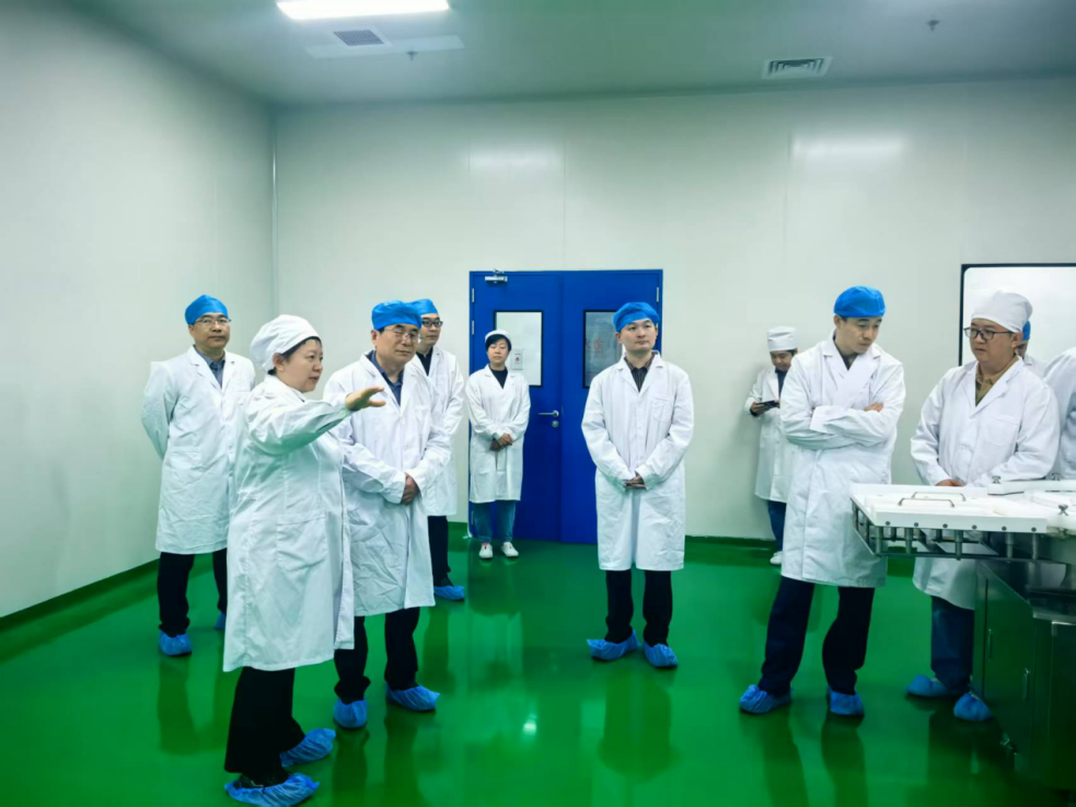 三元基因2 三元基因2