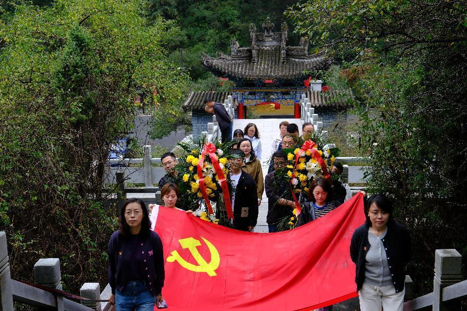 图片1