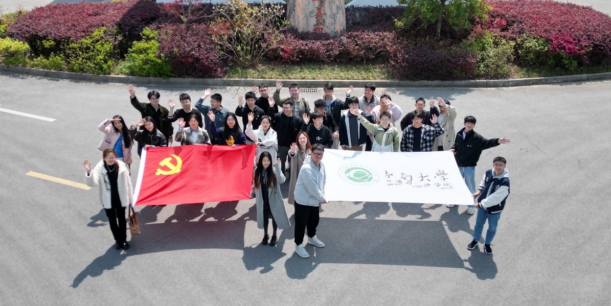 图片6