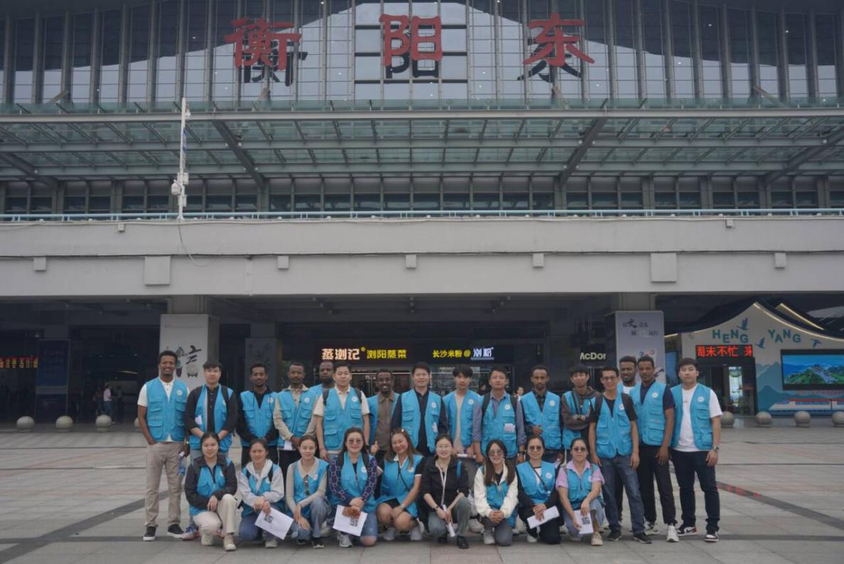 图片11