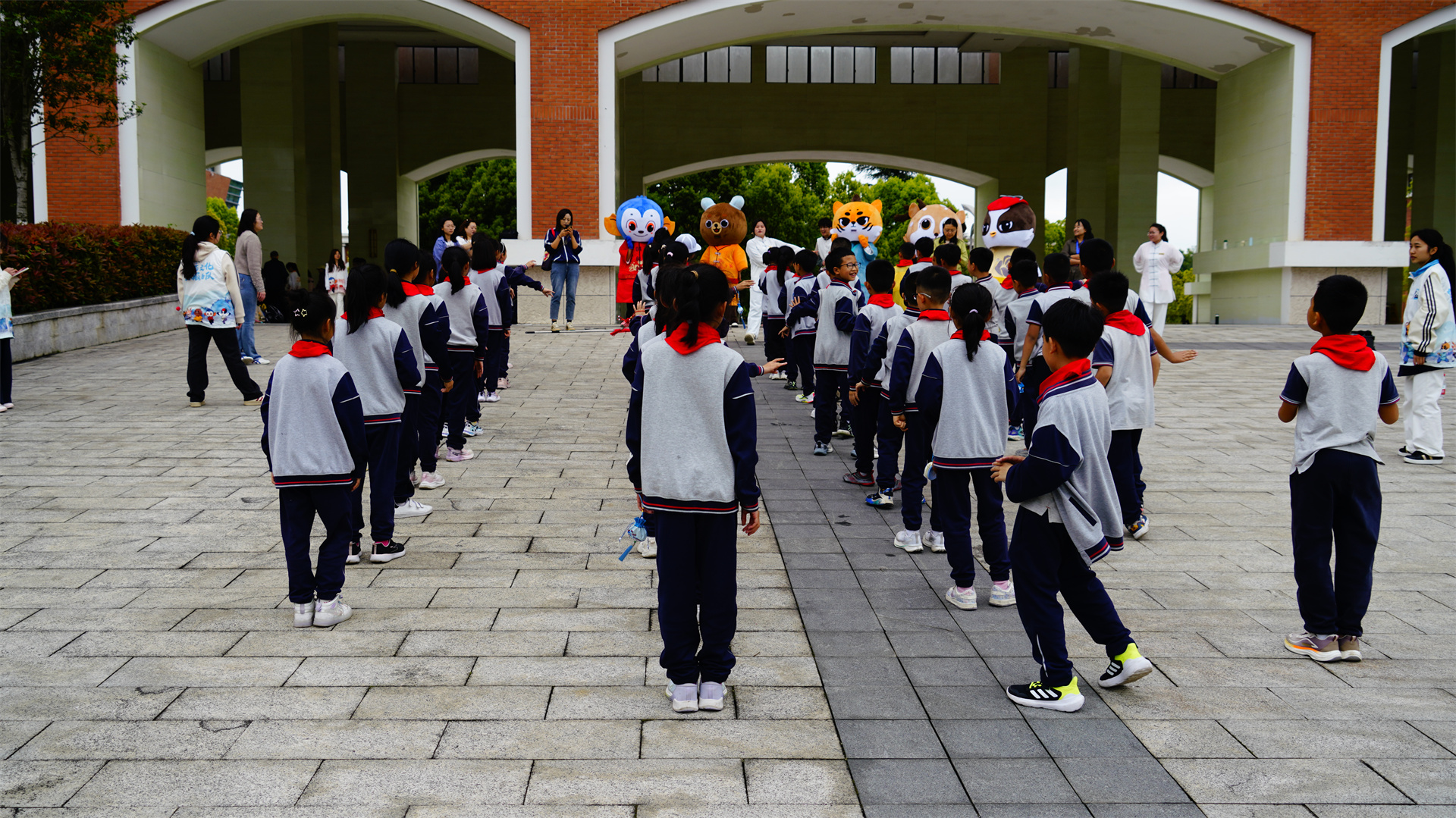 图片5