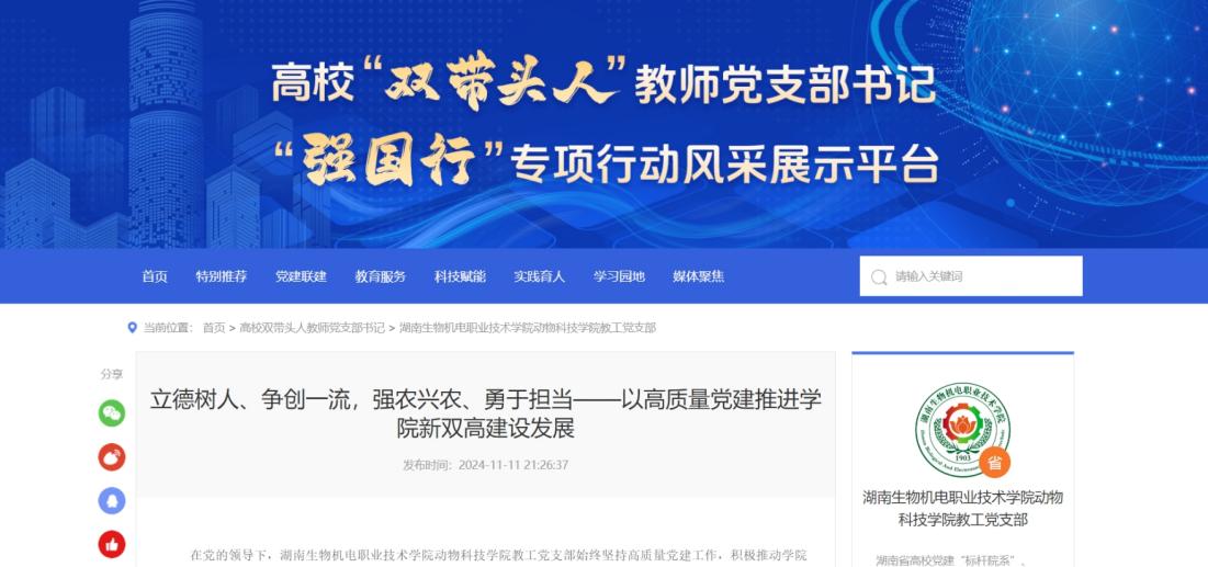 新五丰8