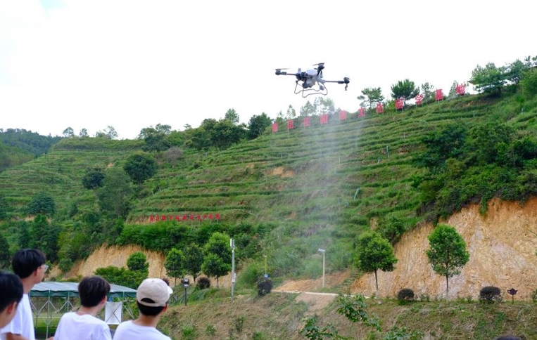 微信截图_20250425160006 微信截图_20250425160006