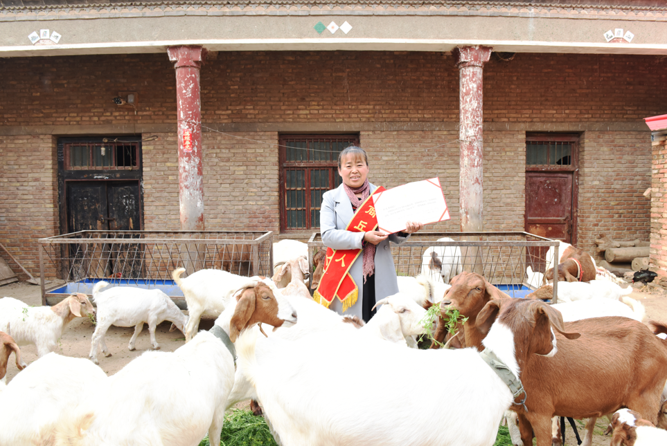 微信图片_20250425182752 微信图片_20250425182752