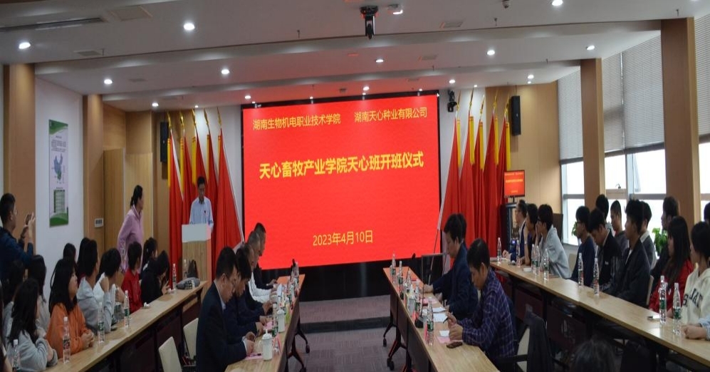 新五丰4