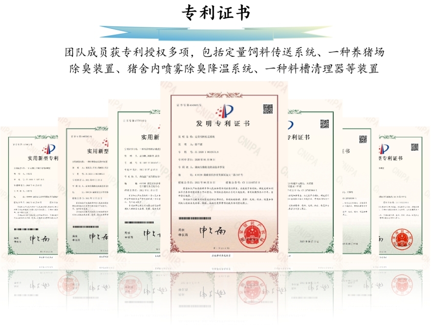 新五丰9