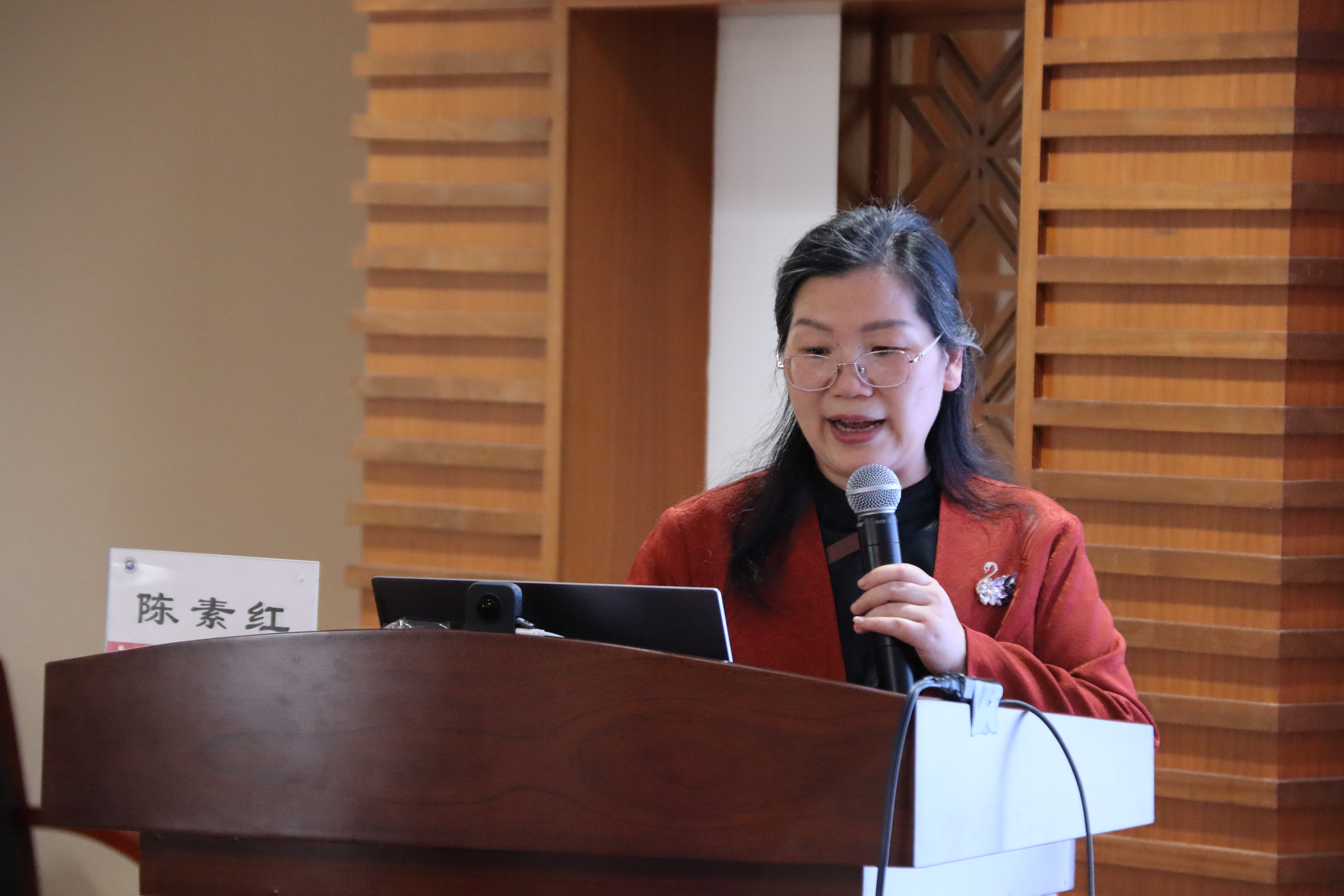 陈素红副会长作2024年工作及财务报告