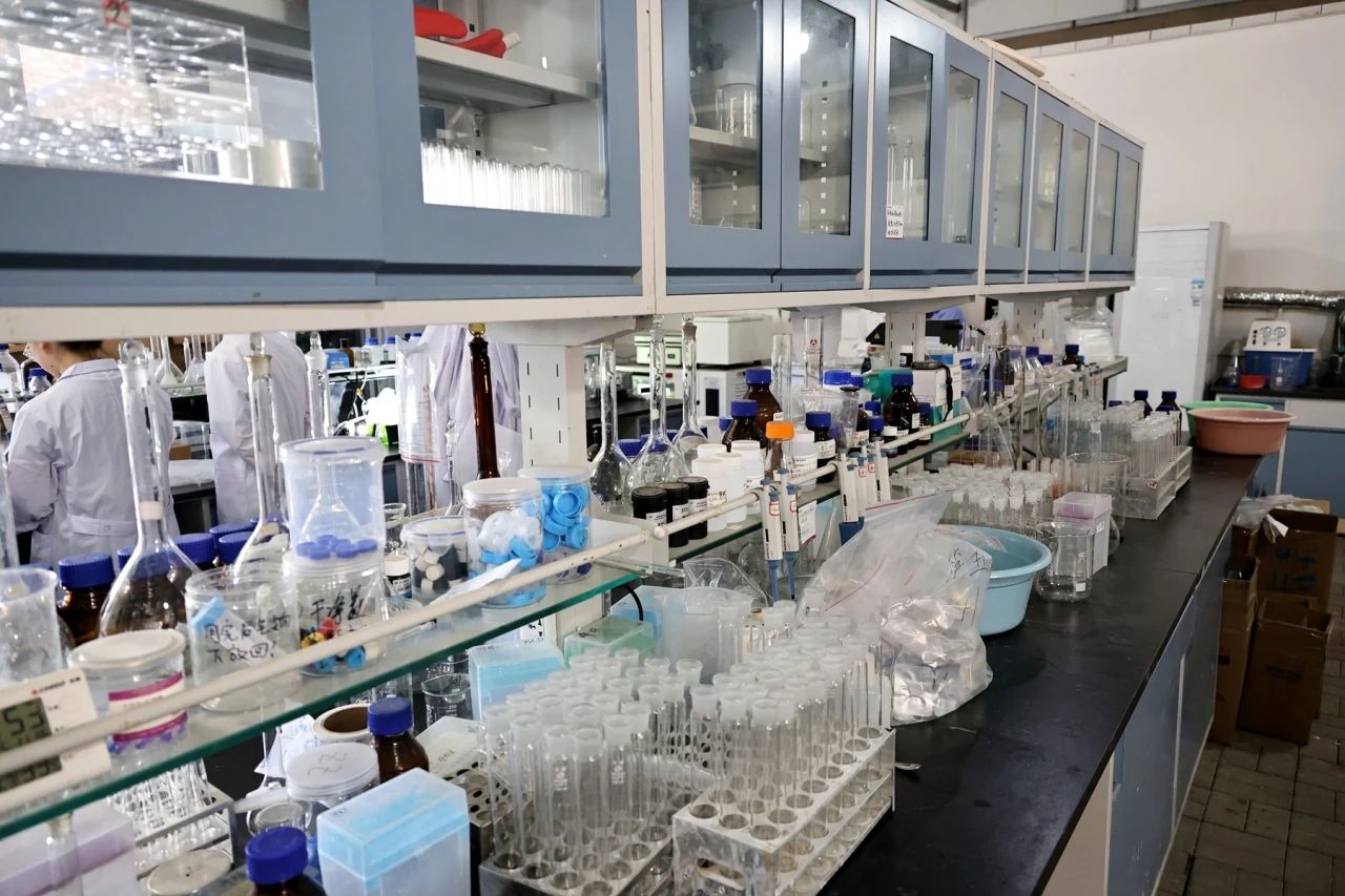 微信图片_20250427060247 微信图片_20250427060247