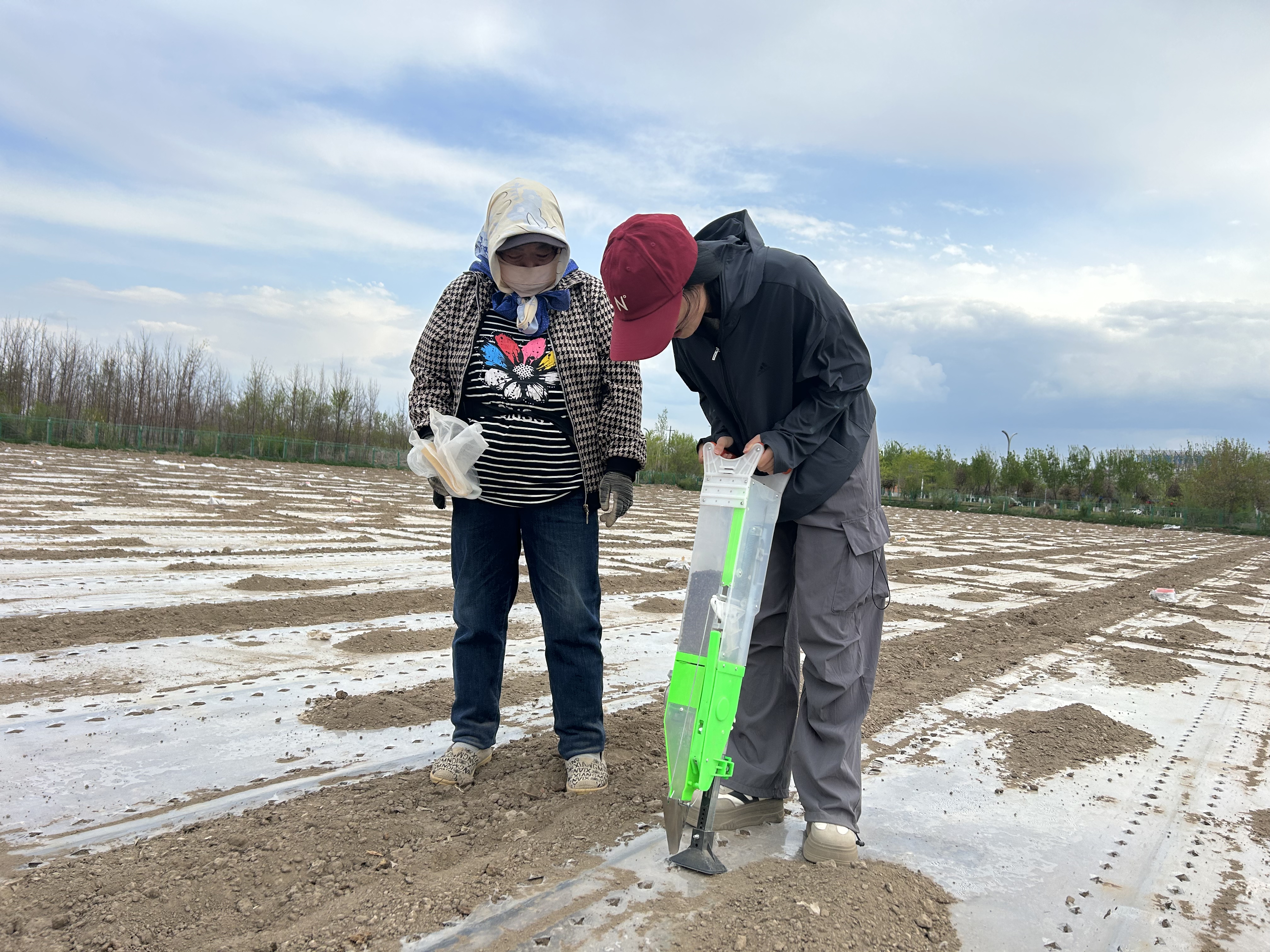 为农户示范播种 为农户示范播种