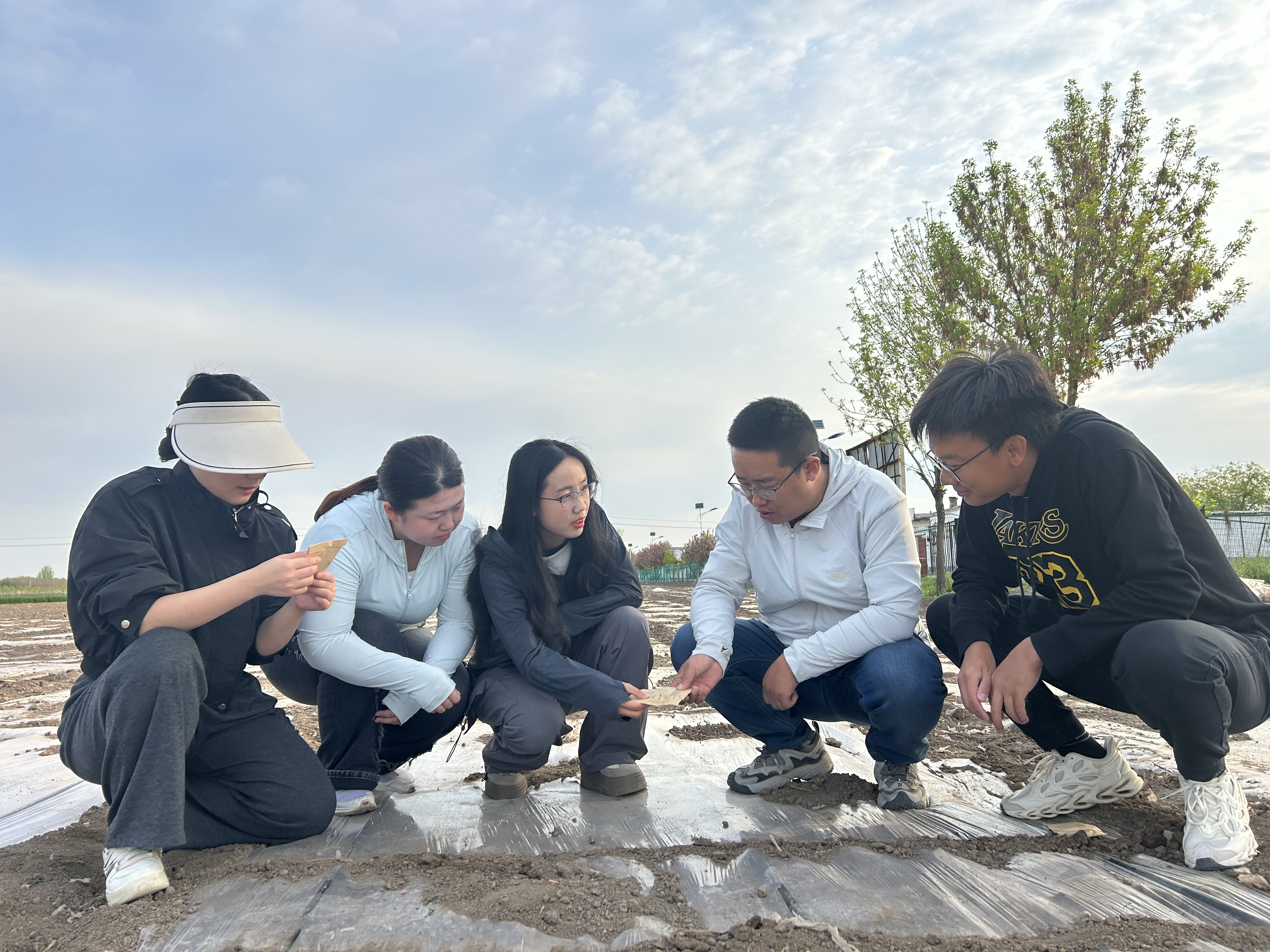 讲解播种要点 讲解播种要点