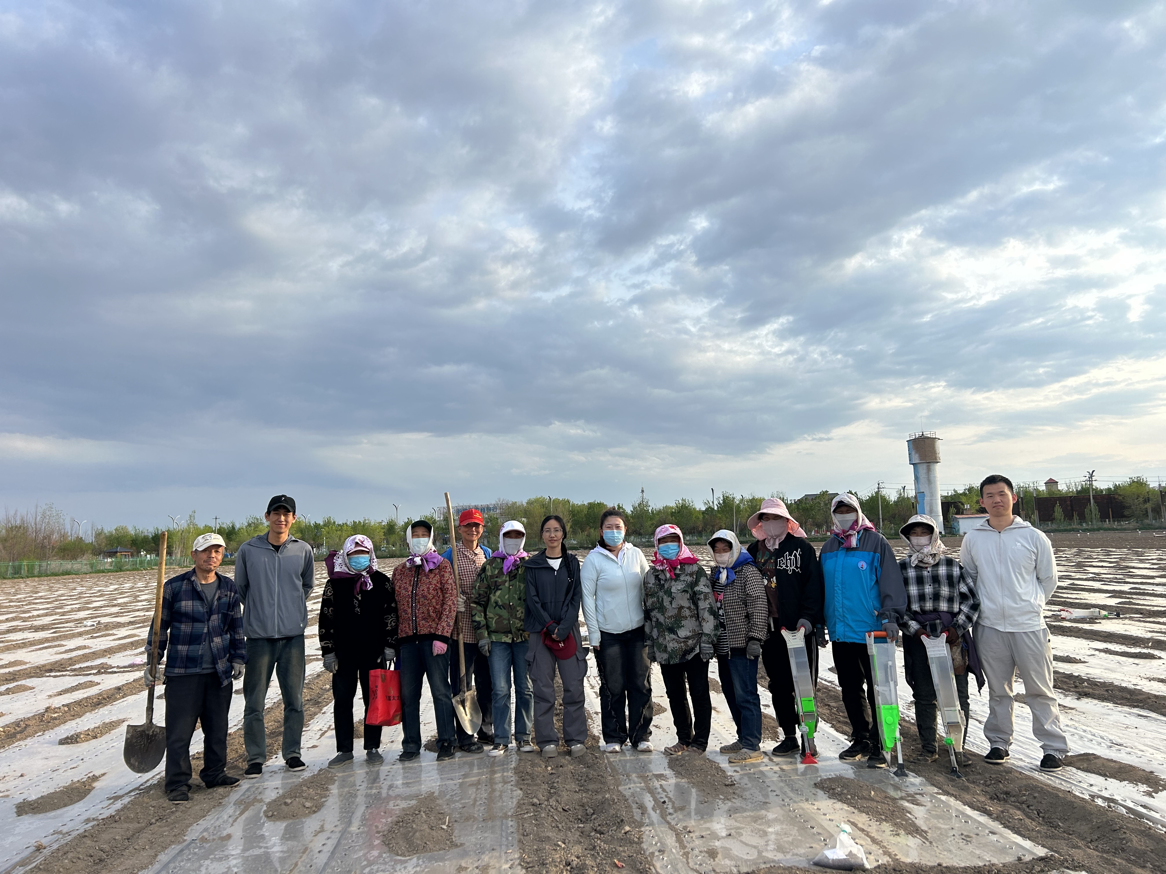 师生团队开展棉花田间播种 师生团队开展棉花田间播种