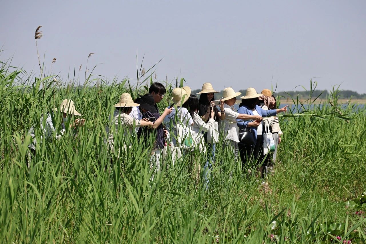 微信图片_20250427060255 微信图片_20250427060255