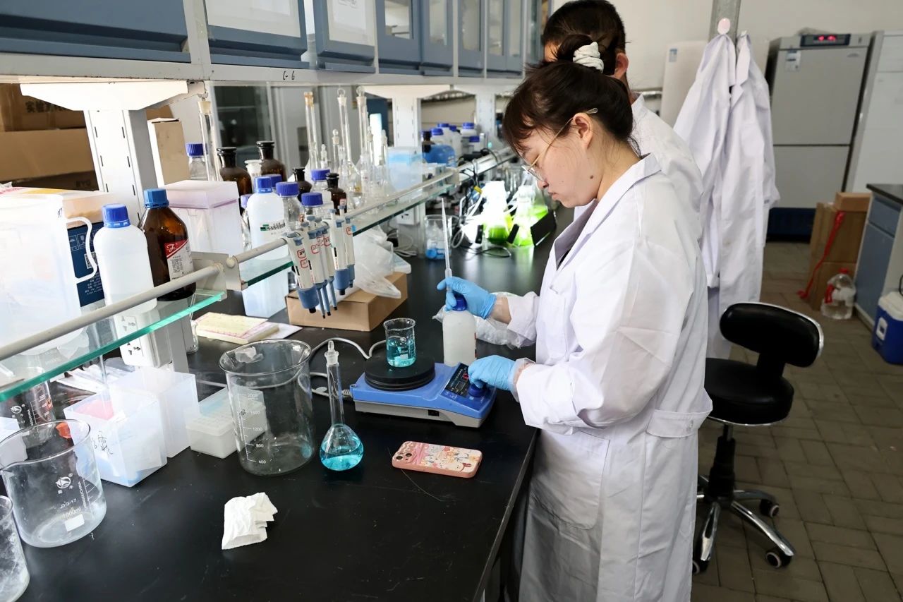 微信图片_20250427060242 微信图片_20250427060242