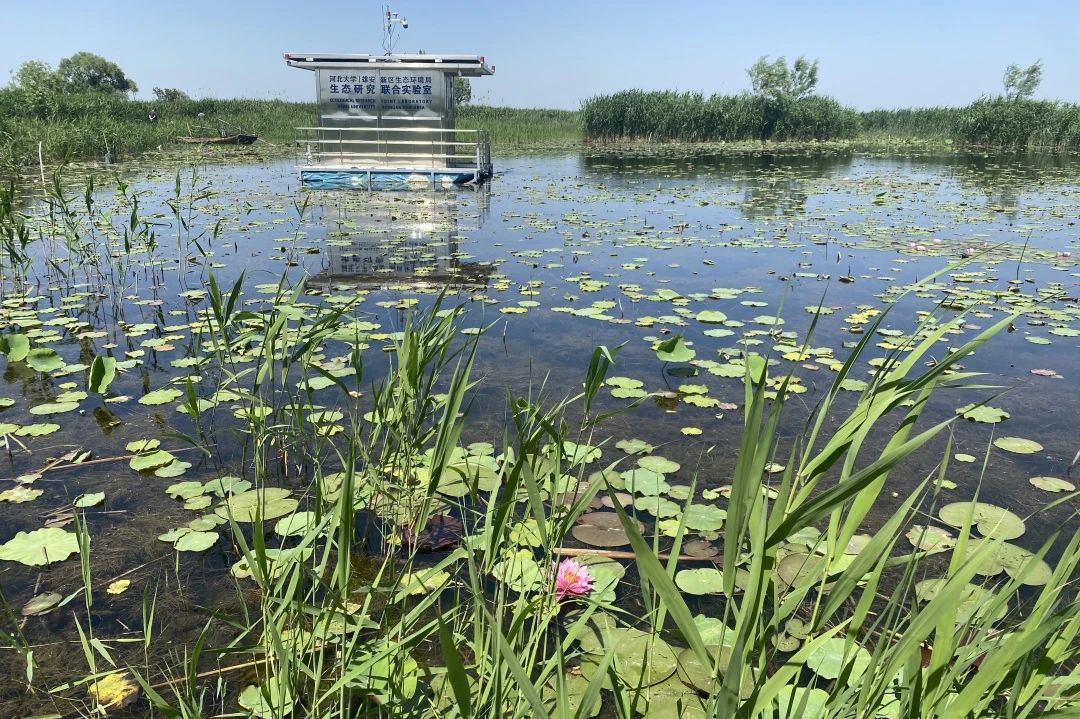 微信图片_20250427060305 微信图片_20250427060305