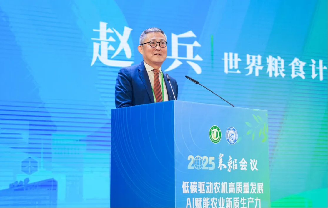 图片6