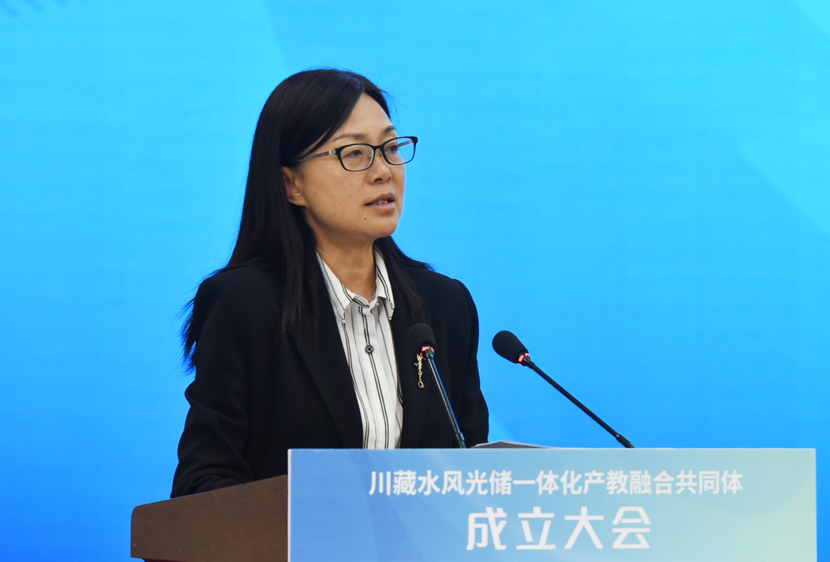 图片8