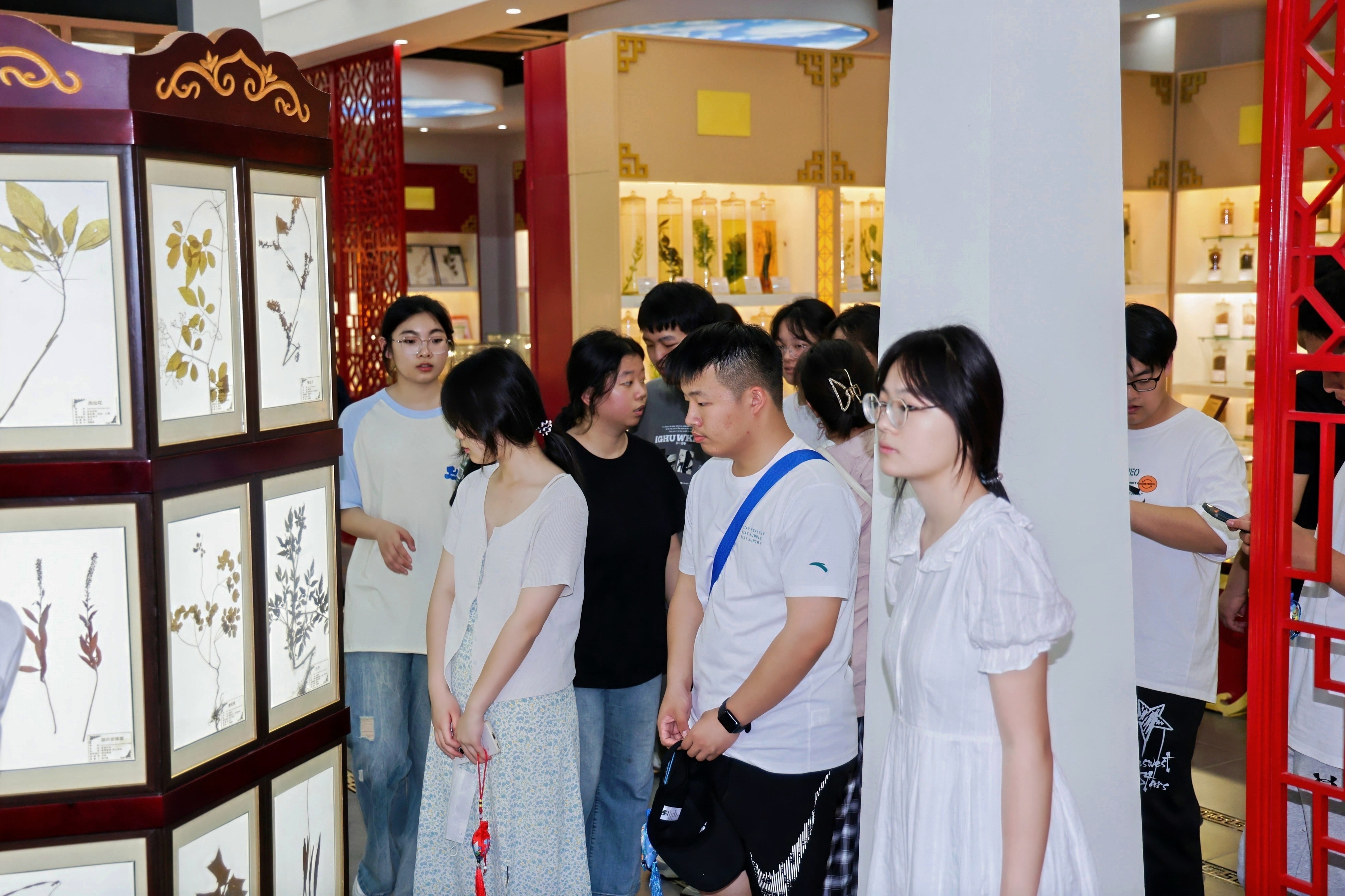 参观标本馆
