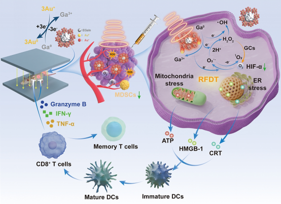 905888DC1EE13FE1DBE06F0A60A_950281DA_D96A4