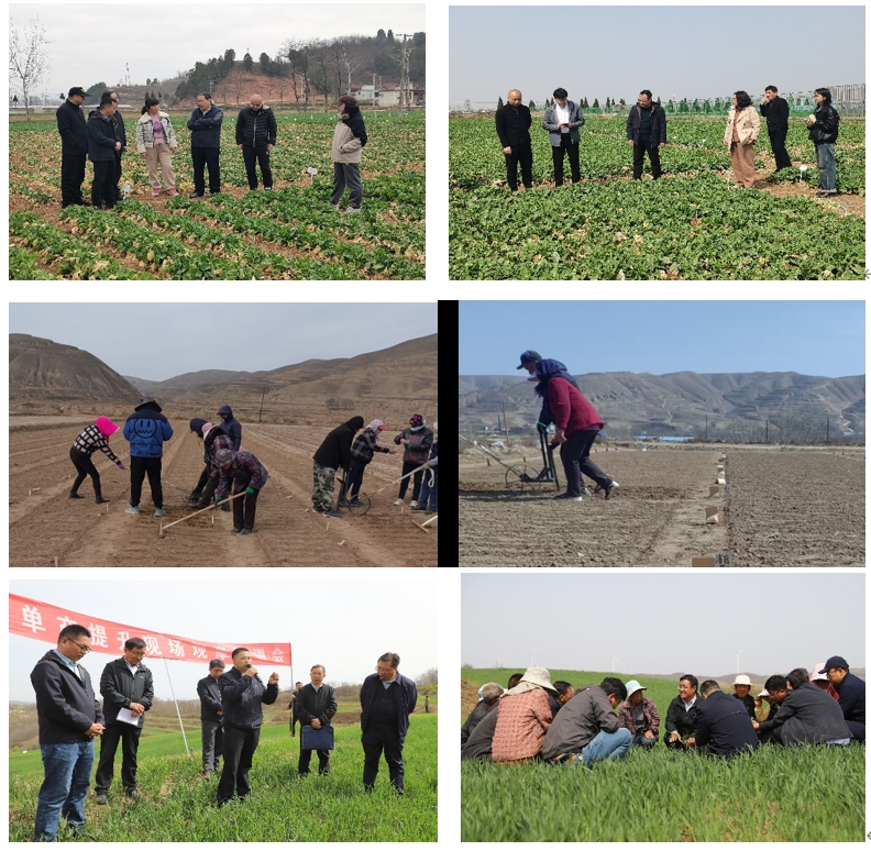 微信截图_20250505120025 微信截图_20250505120025