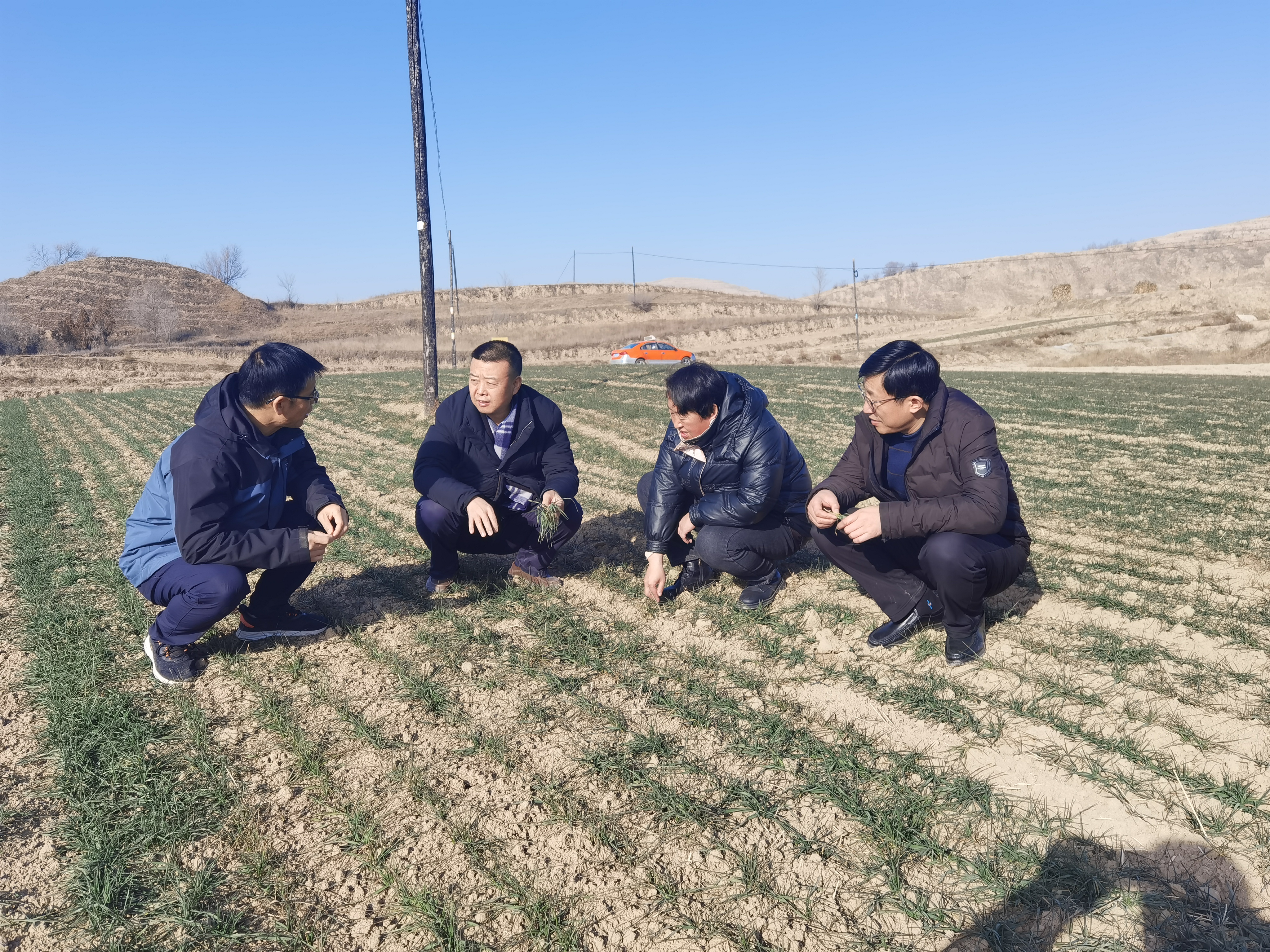 现场照片6 现场照片6