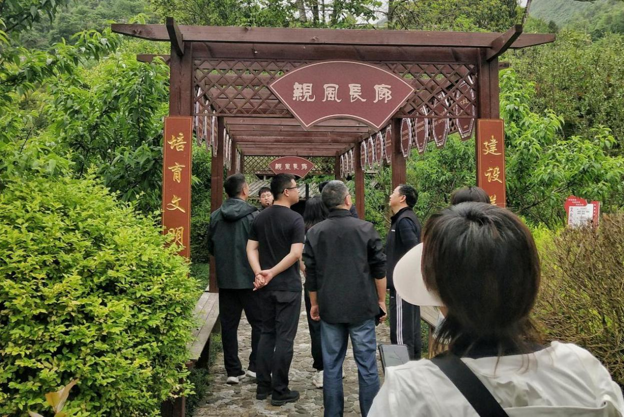 图片6