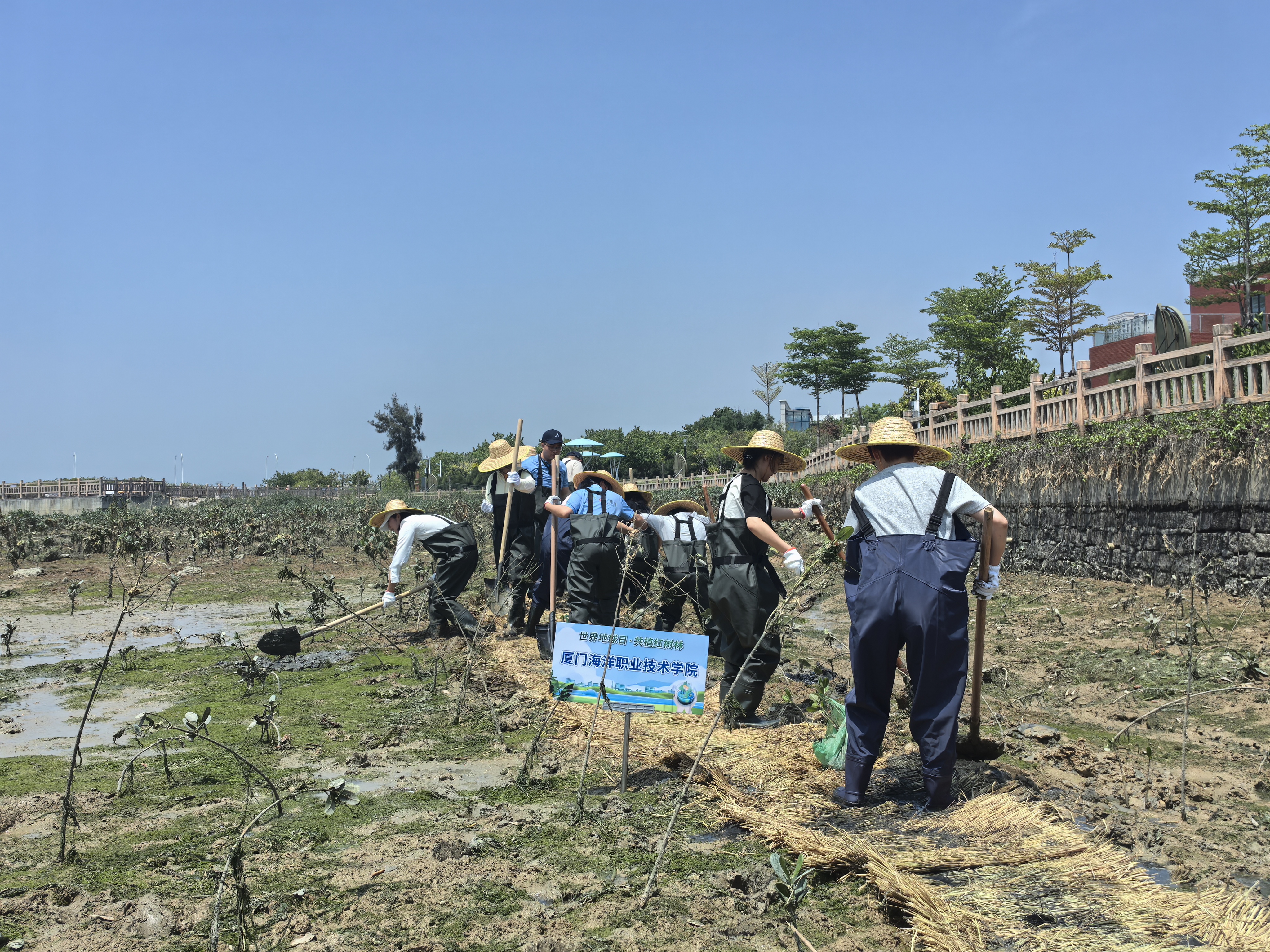 世界地球日-图8