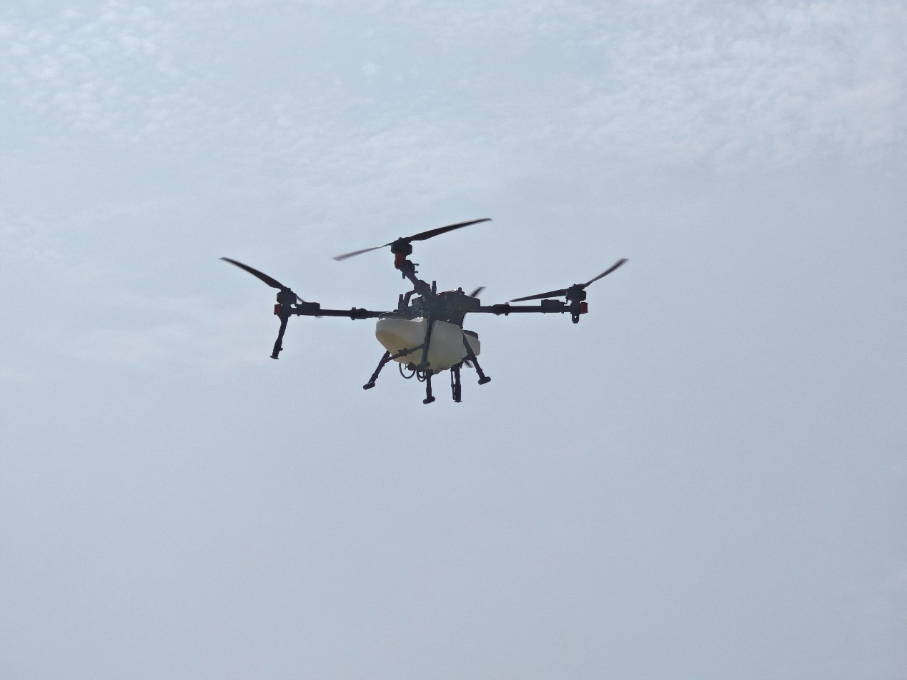 世界地球日-图4