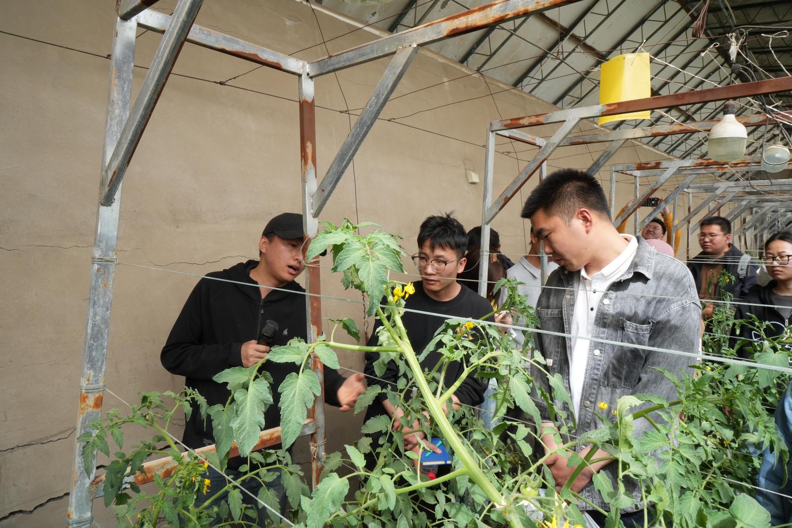 科技小院让科研成果直通田间地头