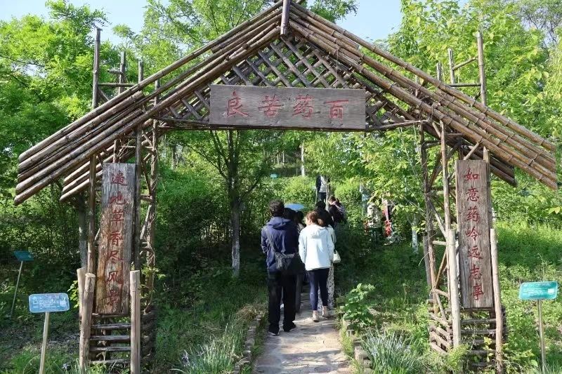 0dca669688803fc37ded69a1a201a597