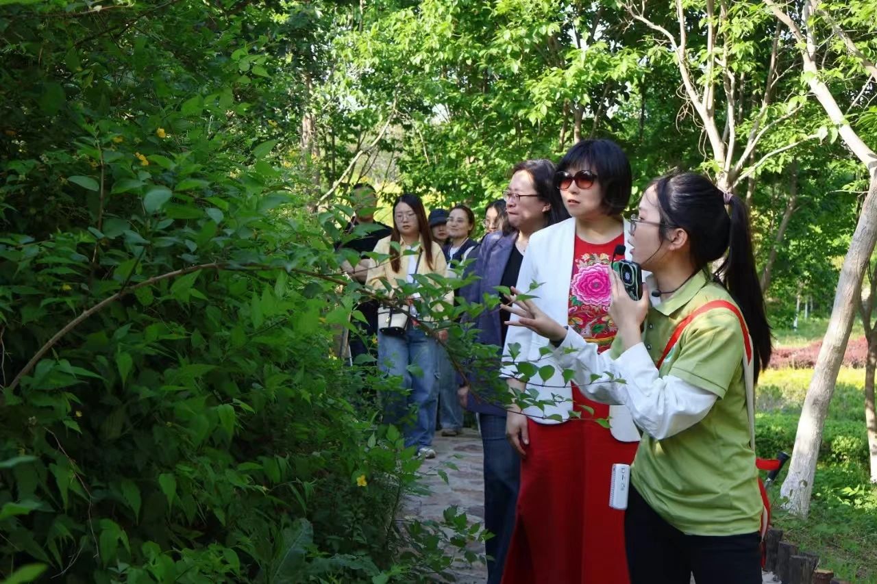 2bde543b0fbcedb2c2f7d7aa9e669a1d