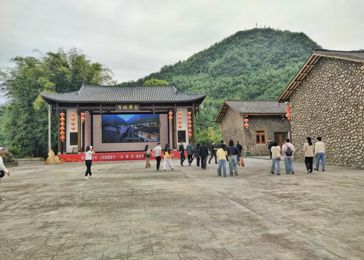 图片11