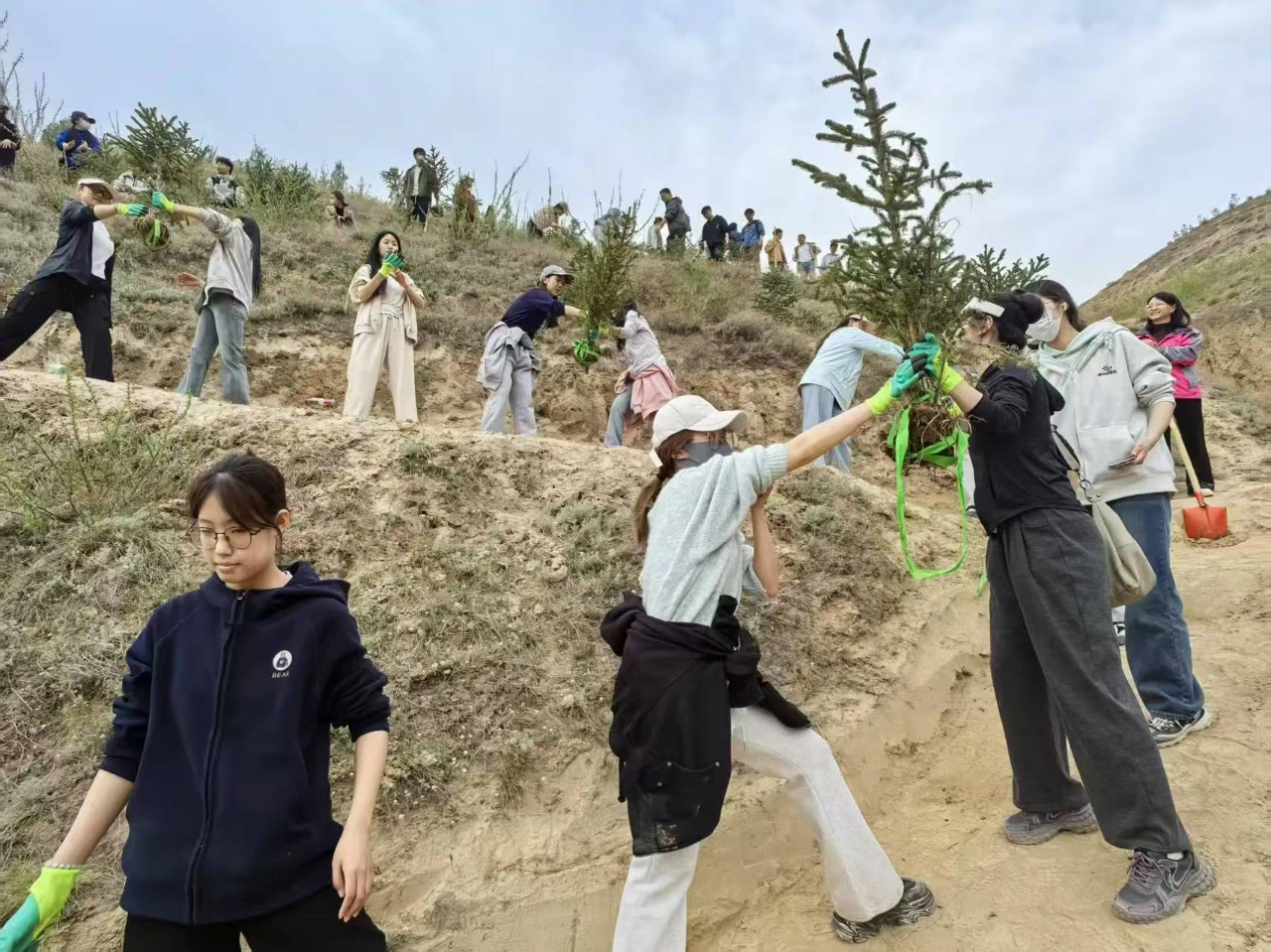 微信图片_20250507103305 微信图片_20250507103305