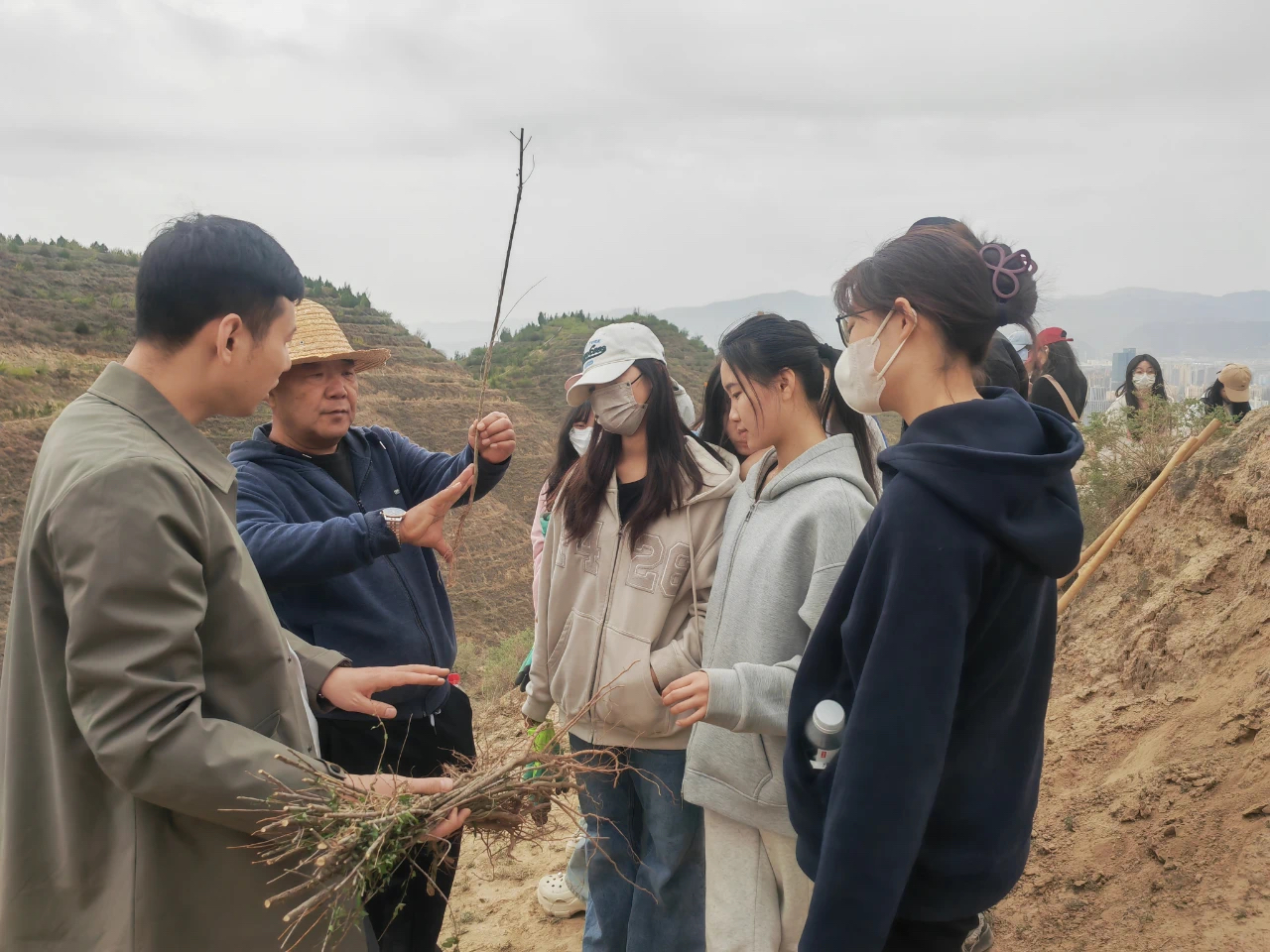 微信图片_20250507103310 微信图片_20250507103310