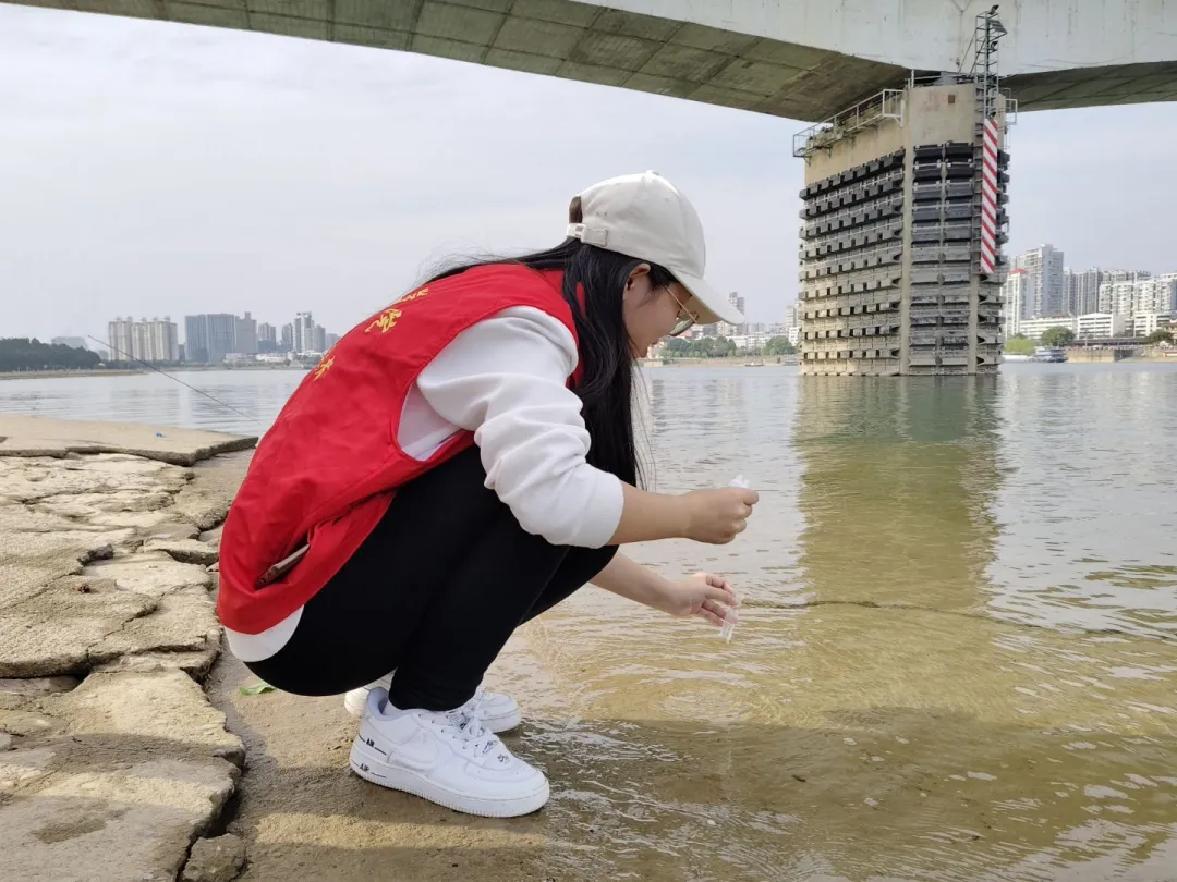 图片10