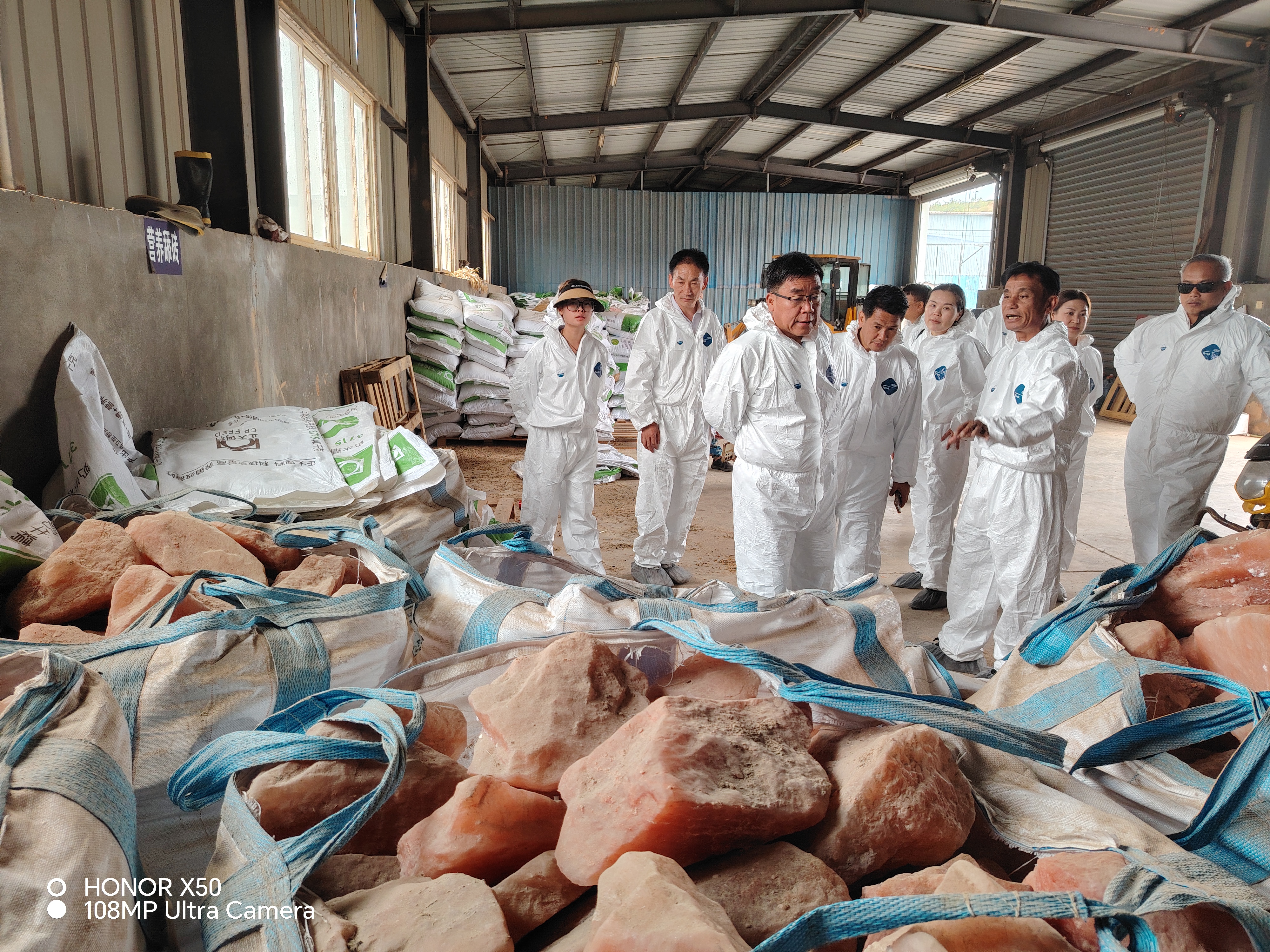 参观云南山地牧业科技示范园种牛场养殖基地（四）