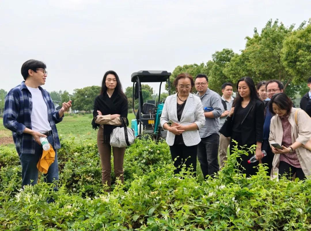 2025五四民盟药用植物园7