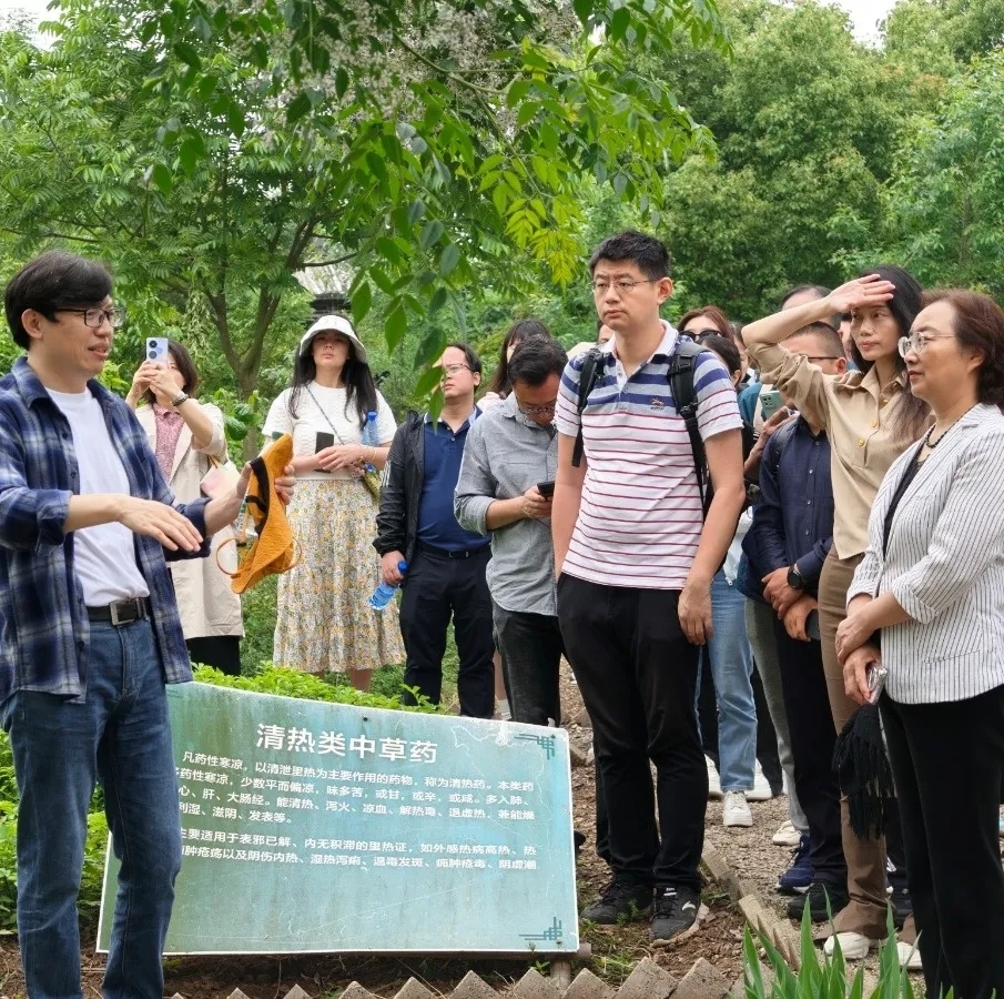 2025五四民盟药用植物园5