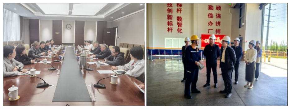 与东河区政府召开的专题座谈会 与东河区政府召开的专题座谈会