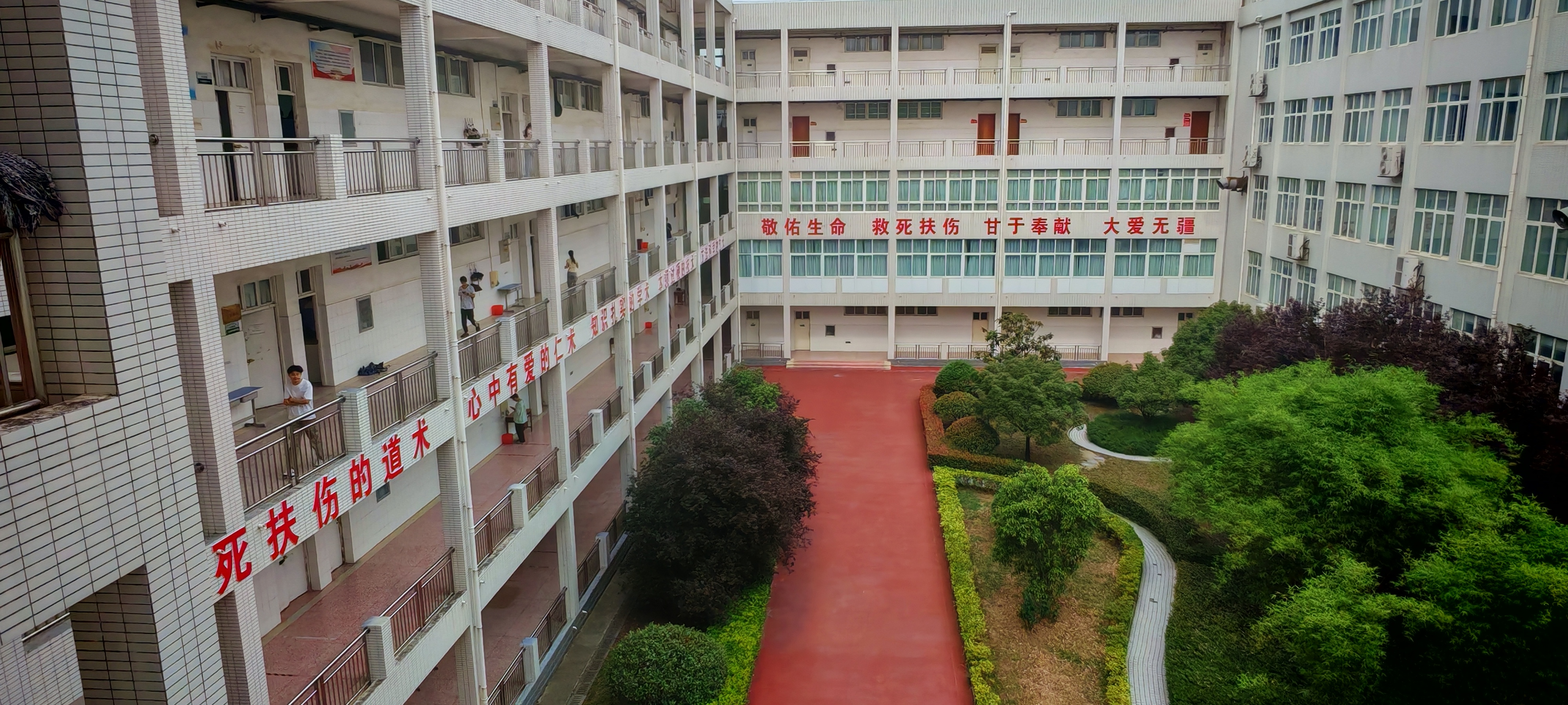 图片4