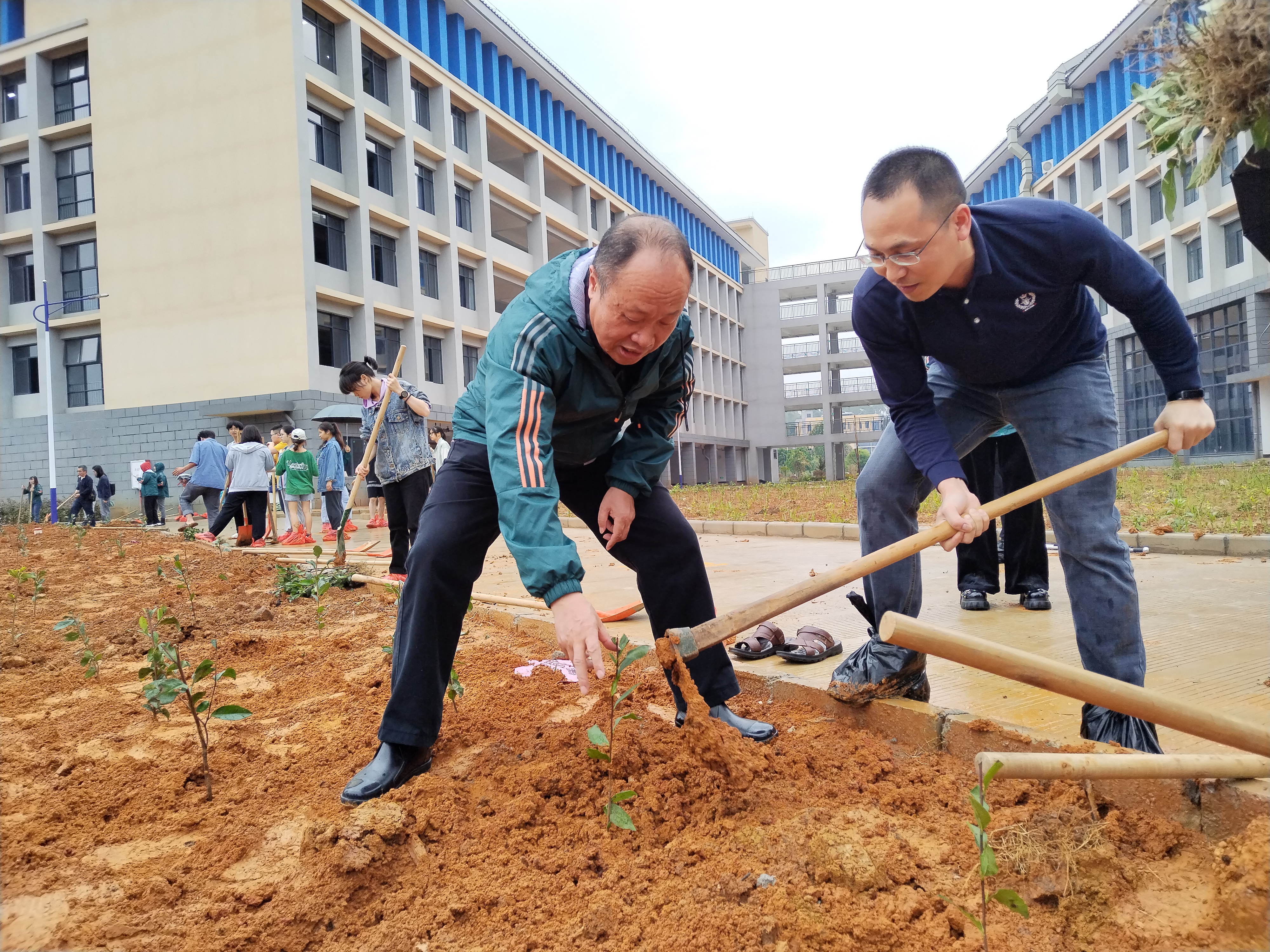 20230405－我院全体师生参加种茶树活动6