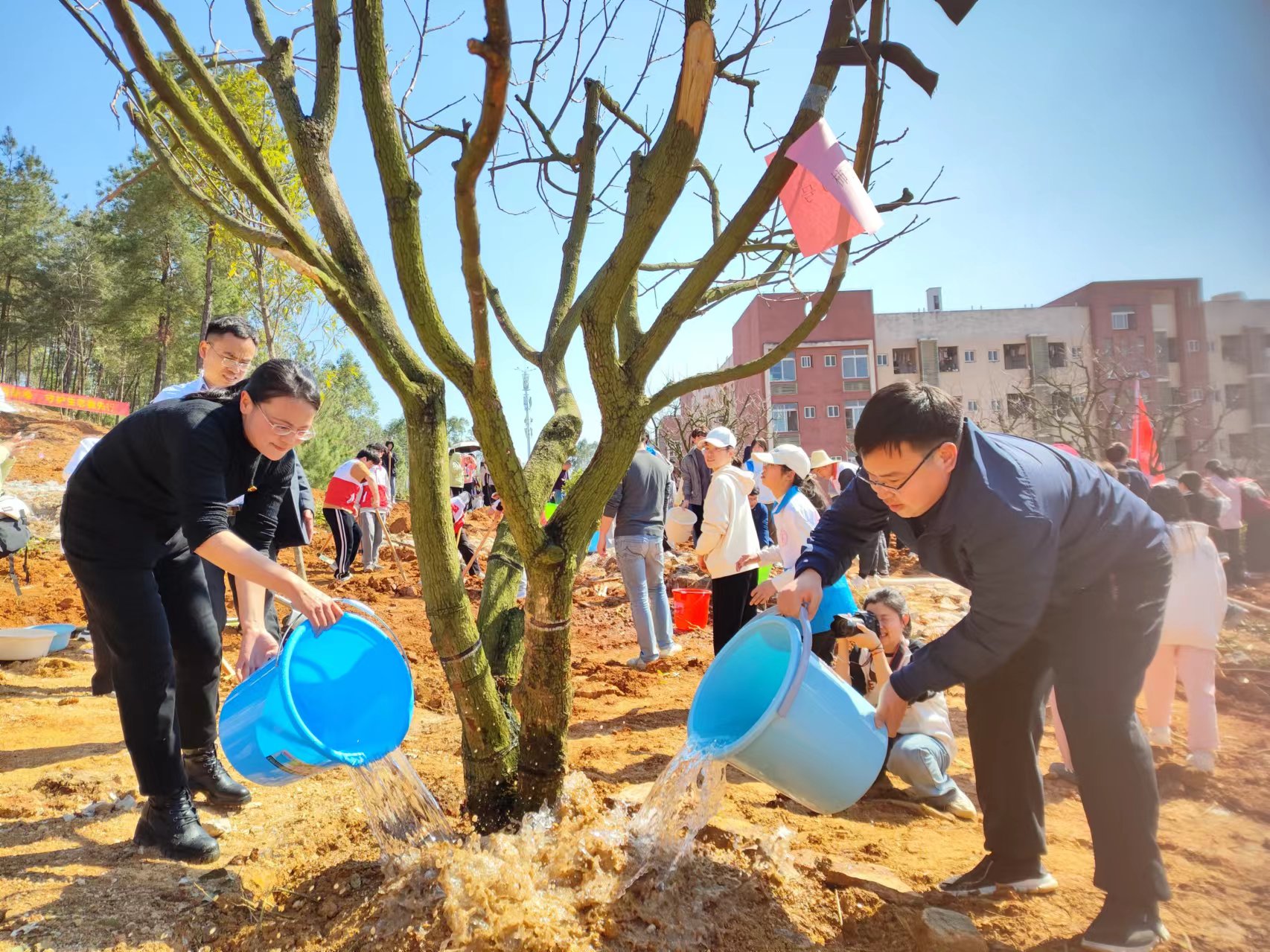 支部参与植树活动 (2)
