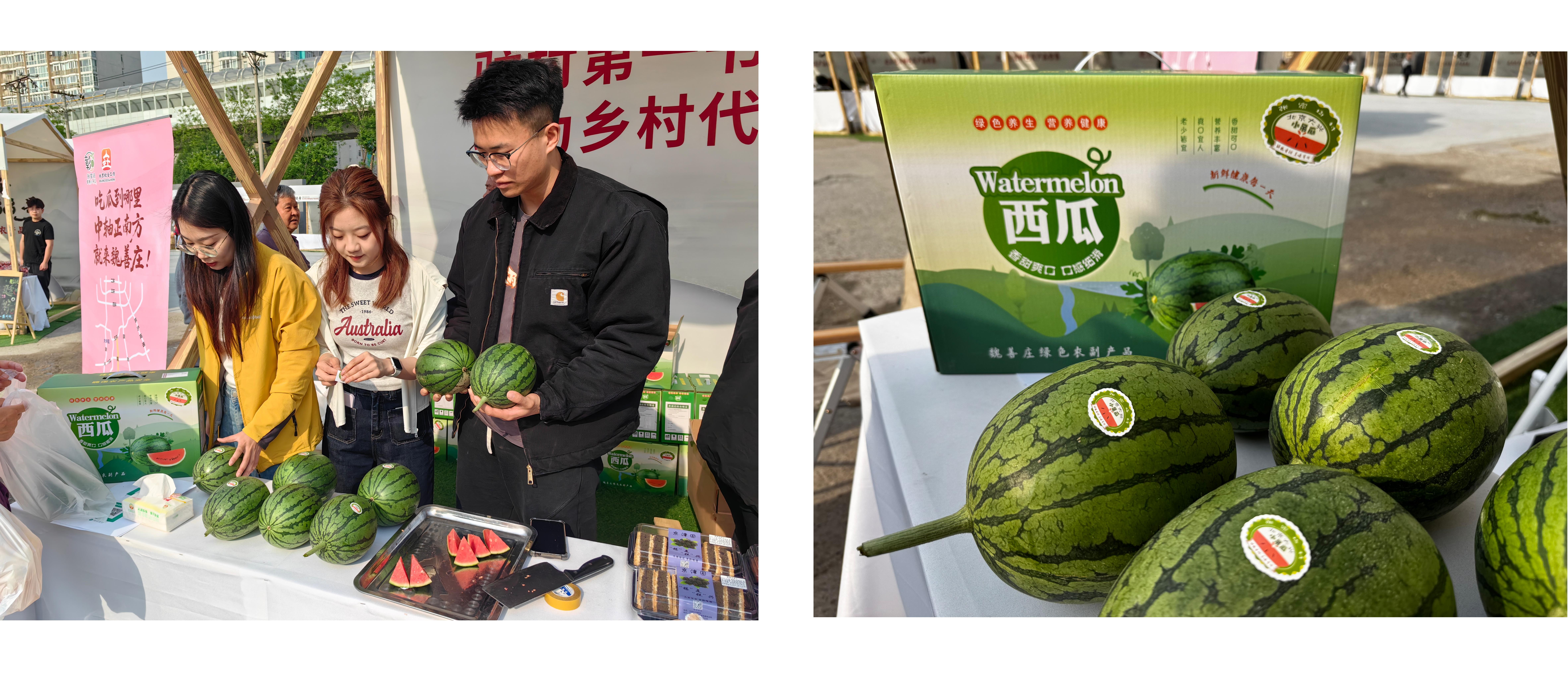微信图片_20250514095751
