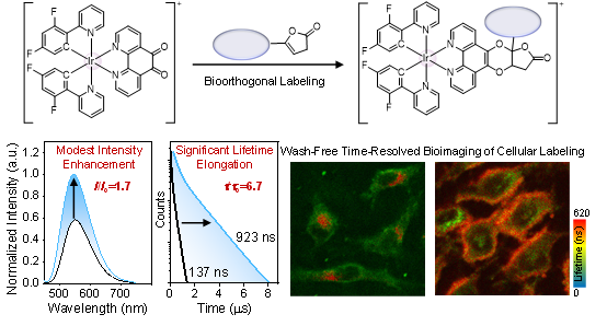 1747191702271 1747191702271