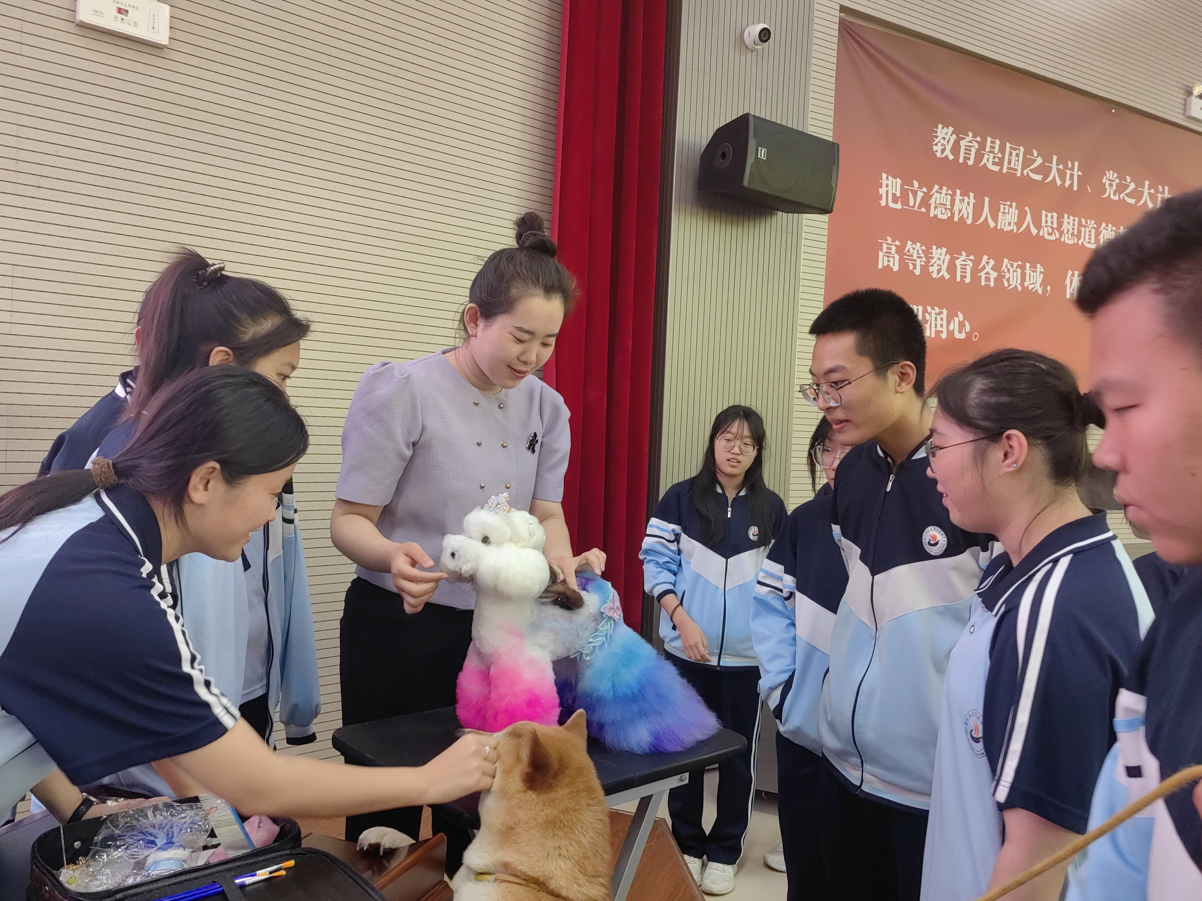 微信图片_20250516160451