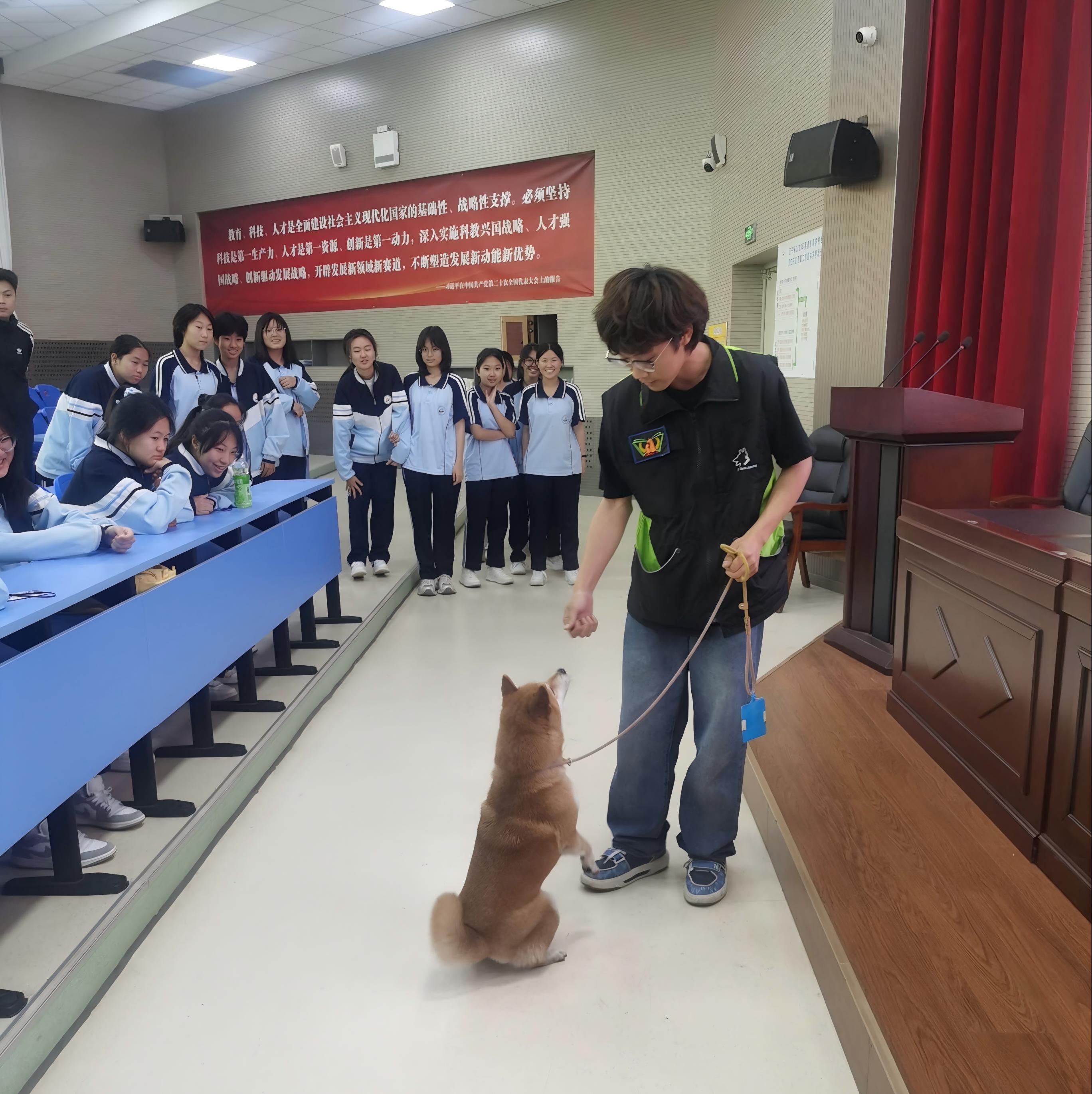 微信图片_20250516160241(1)