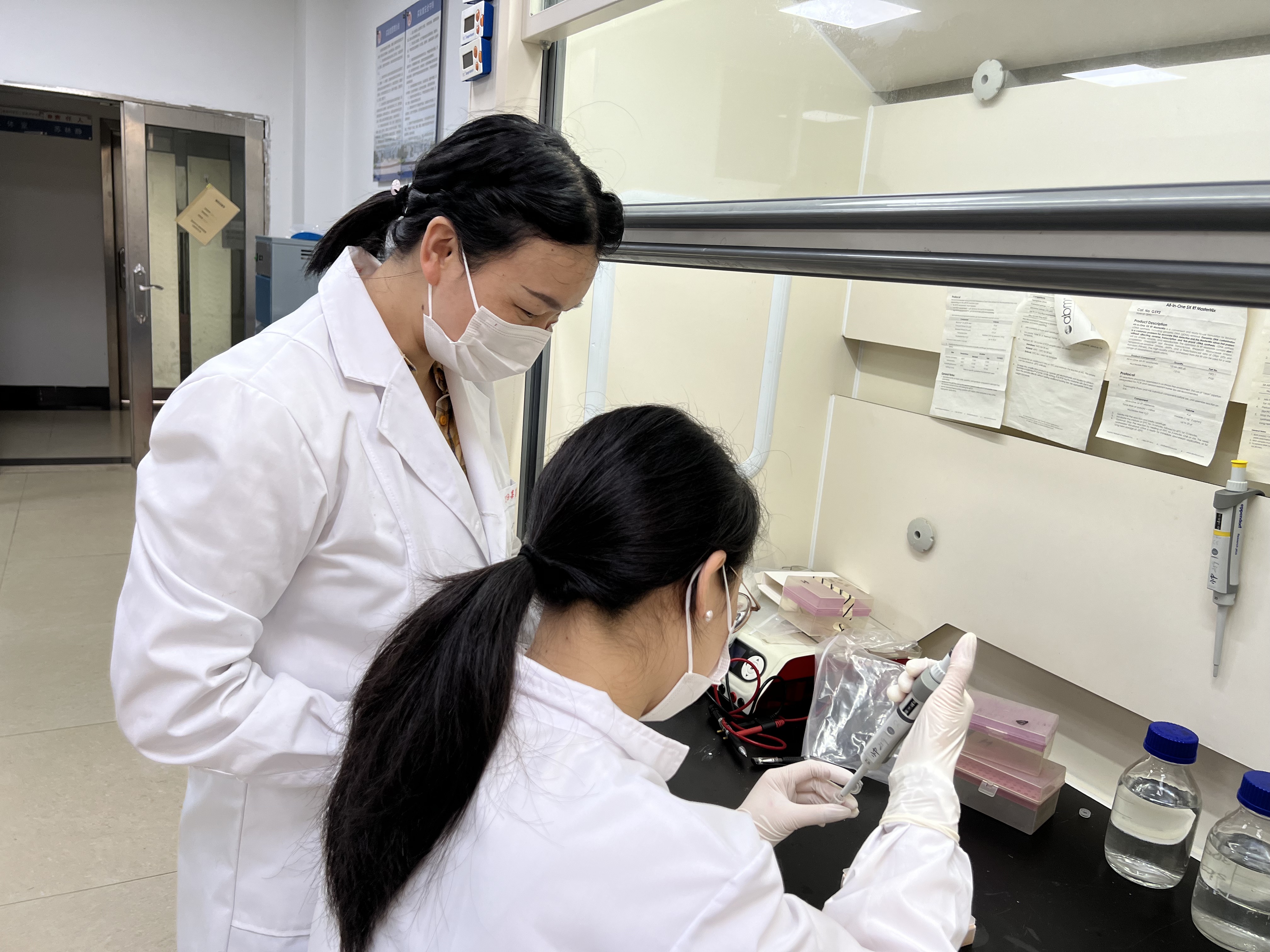 fff35ebdce6e7c875ed8277fa9cf1008