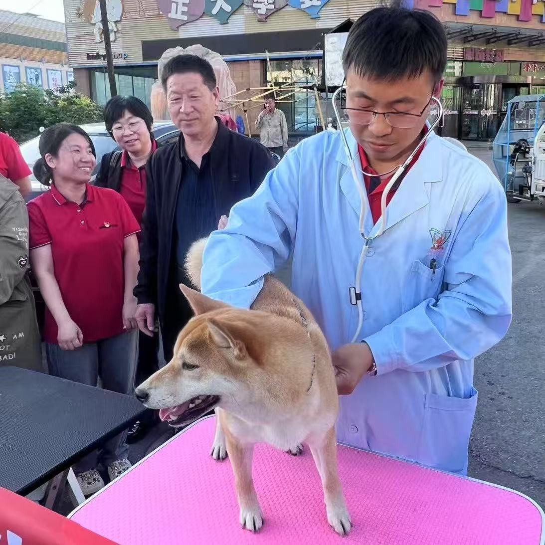 微信图片_20250519162940