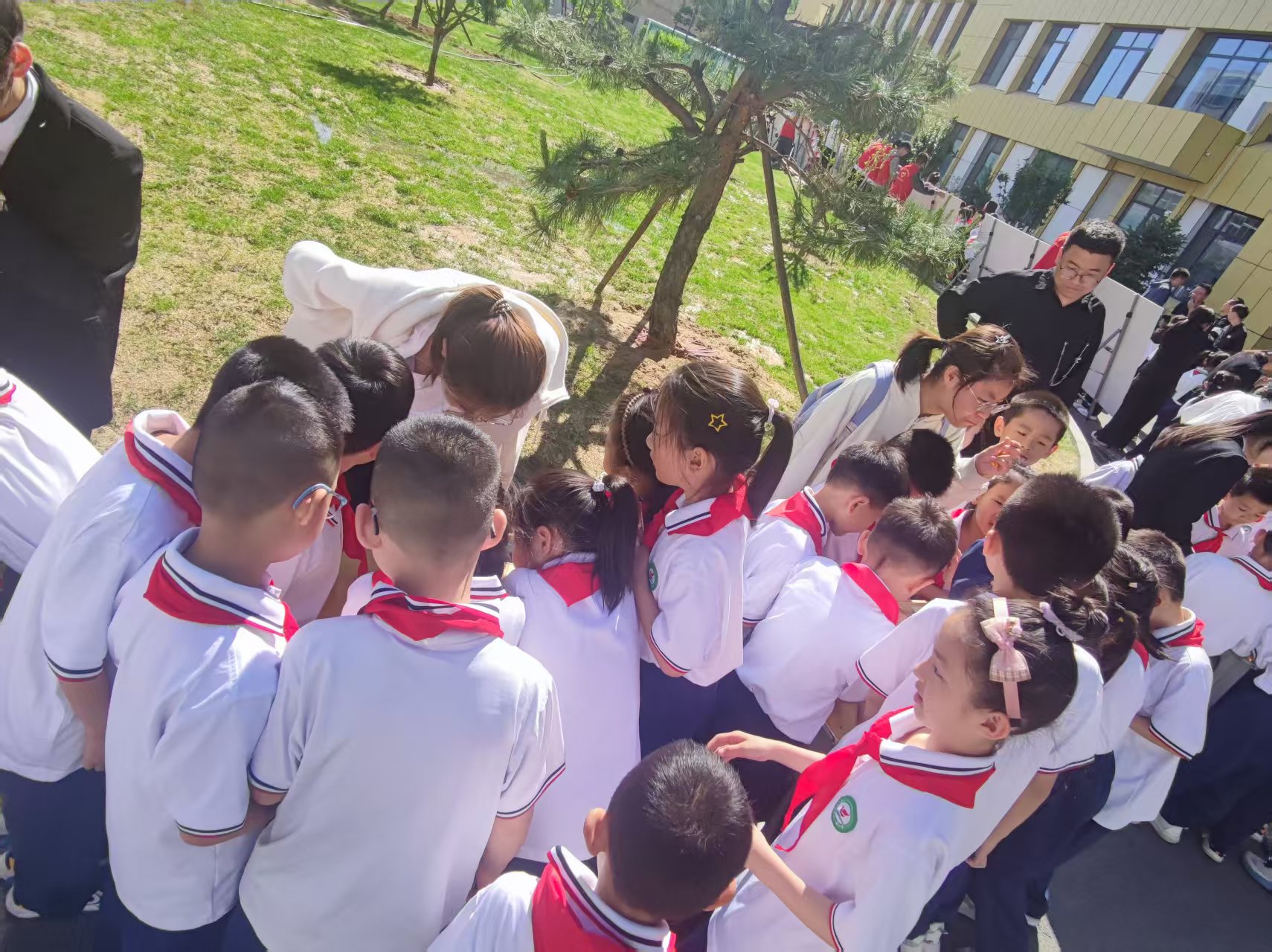 微信图片_20250515101011 微信图片_20250515101011